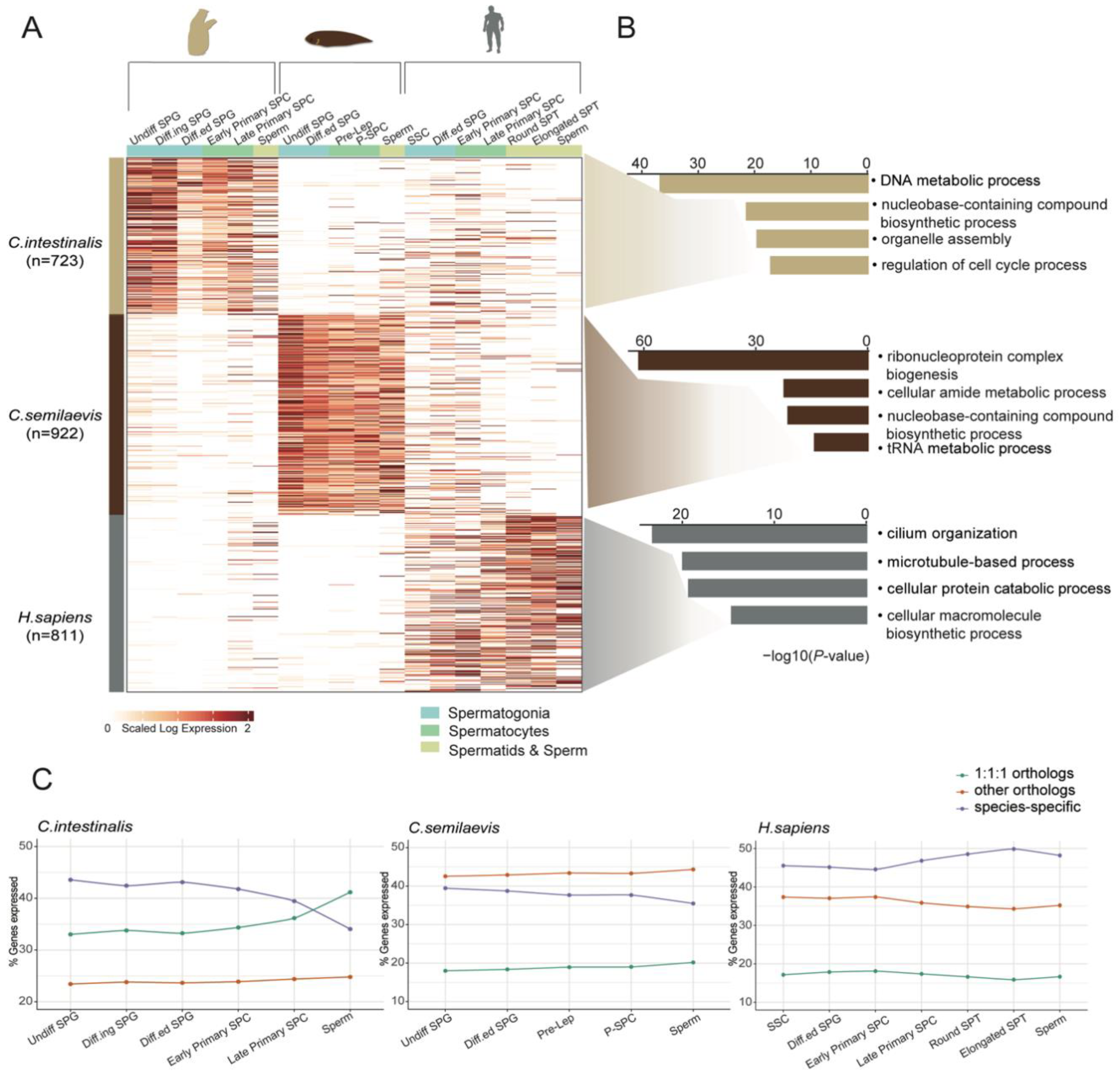 Cells 11 03978 g005 Cells 11 03978 g005