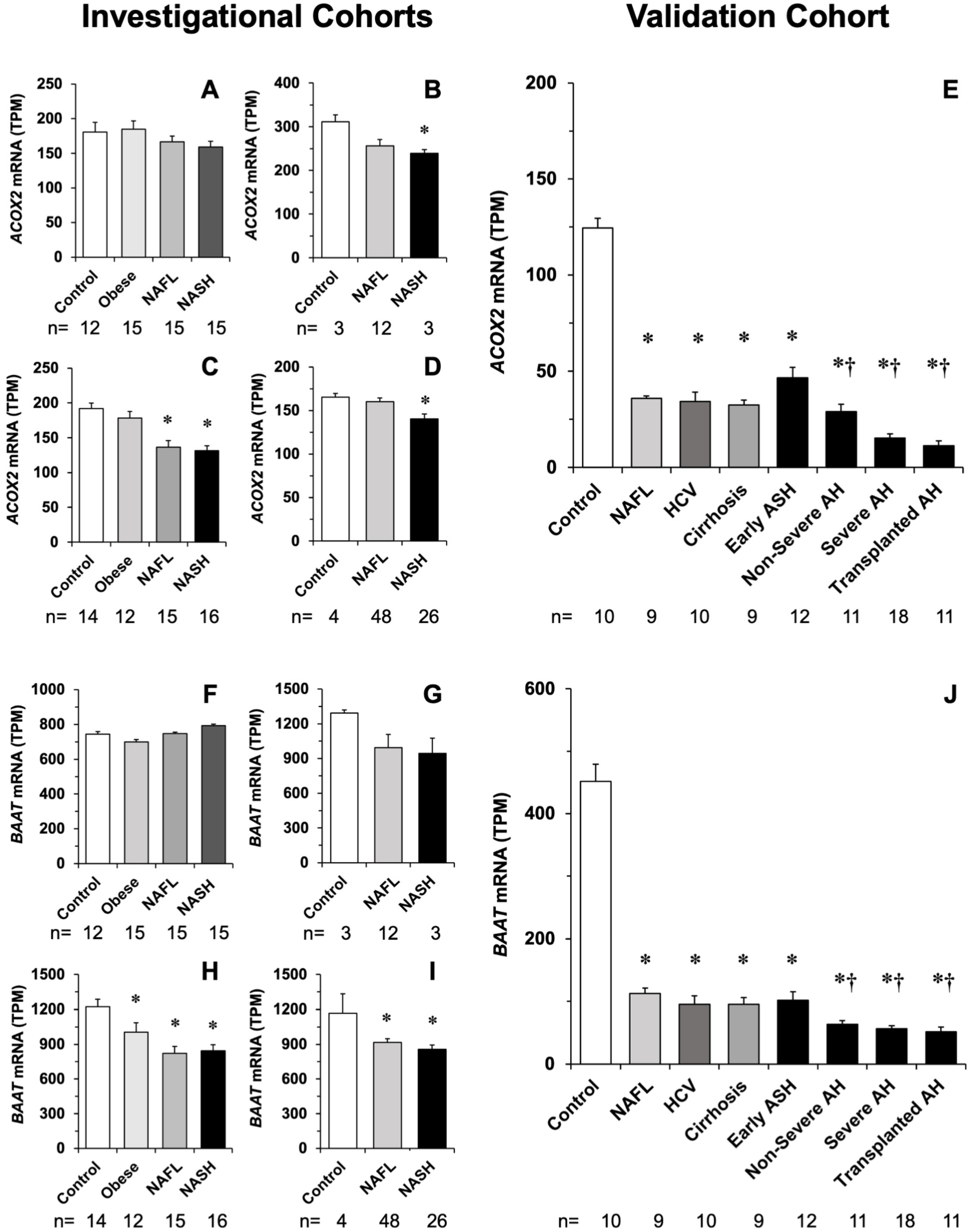 Cells 11 03983 g005 Cells 11 03983 g005