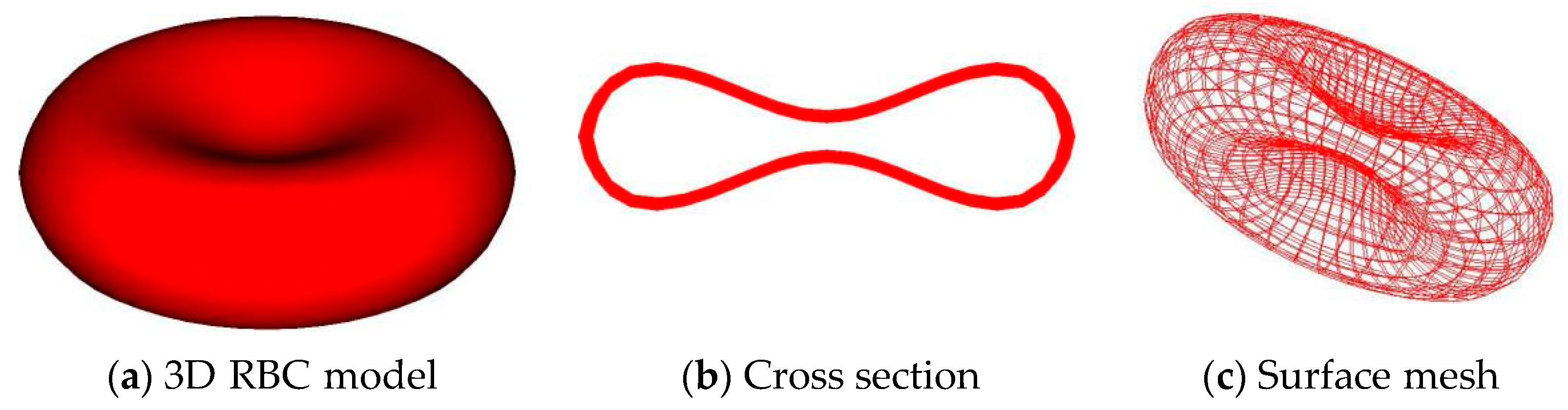 Cells | Free Full-Text | Modeling of Red Blood Cells in Capillary Flow  Using Fluid&ndash;Structure Interaction and Gas Diffusion