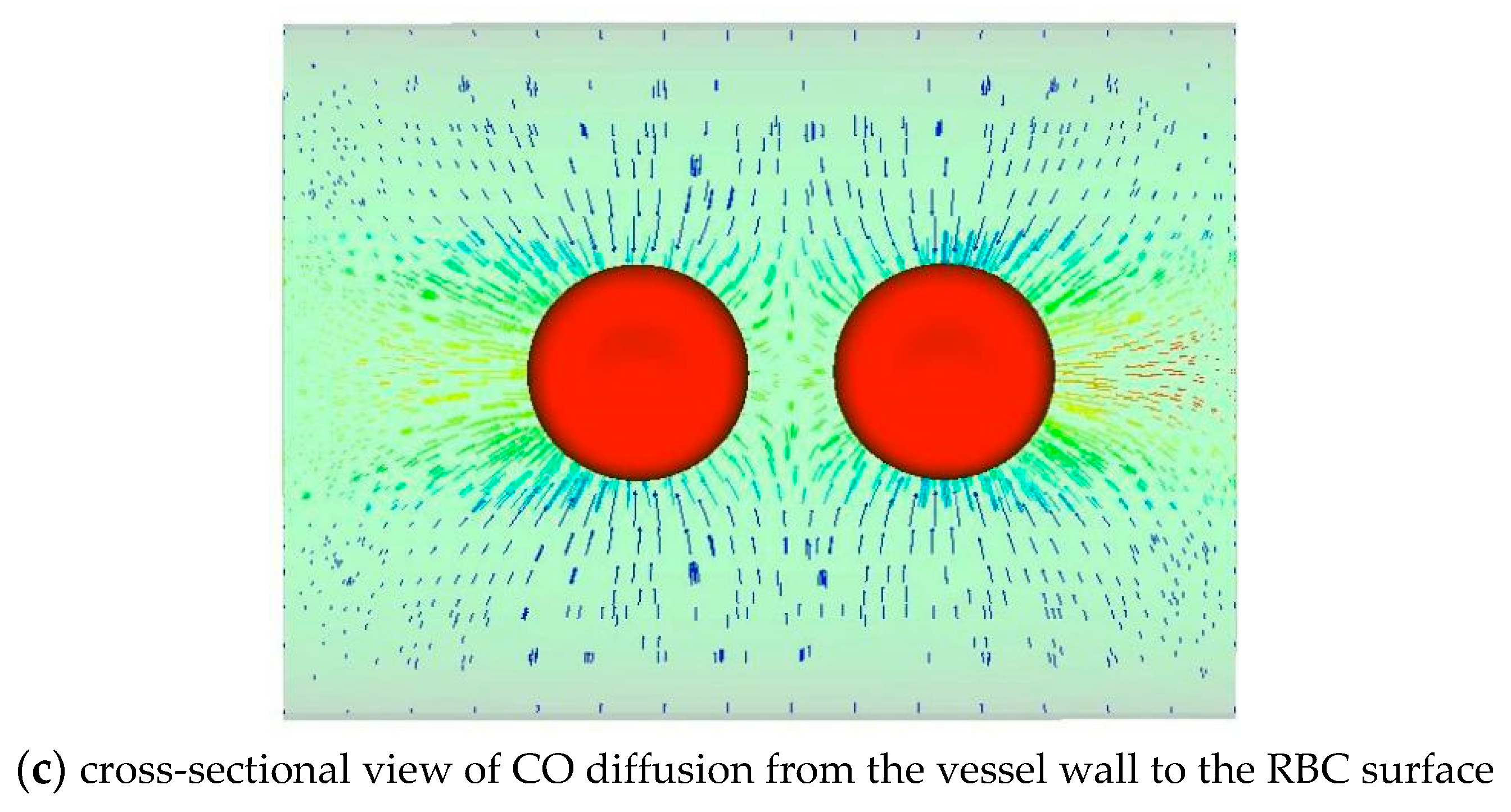 Cells 11 03987 g002b
