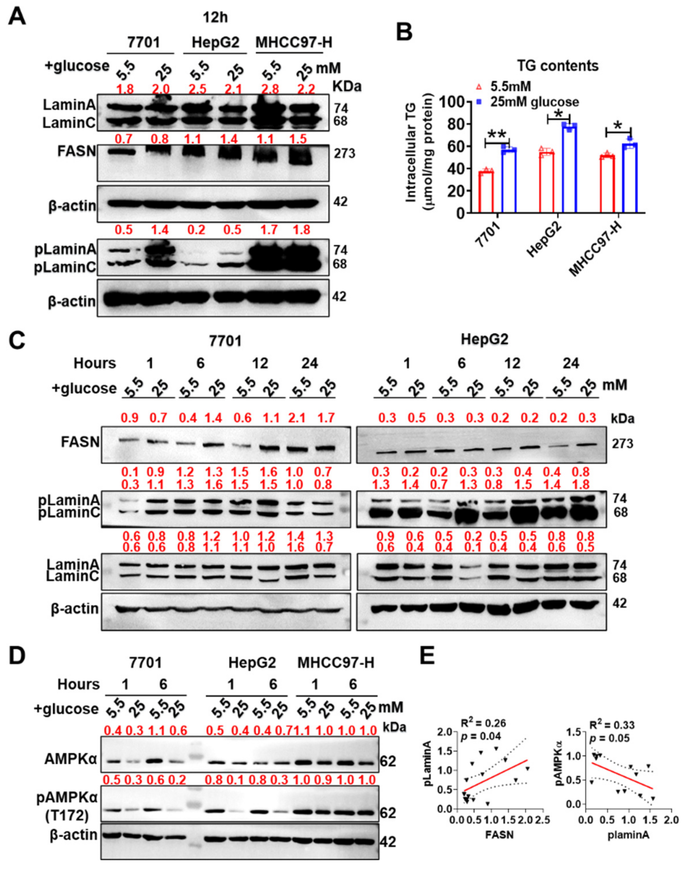 Cells 11 03988 g006 Cells 11 03988 g006