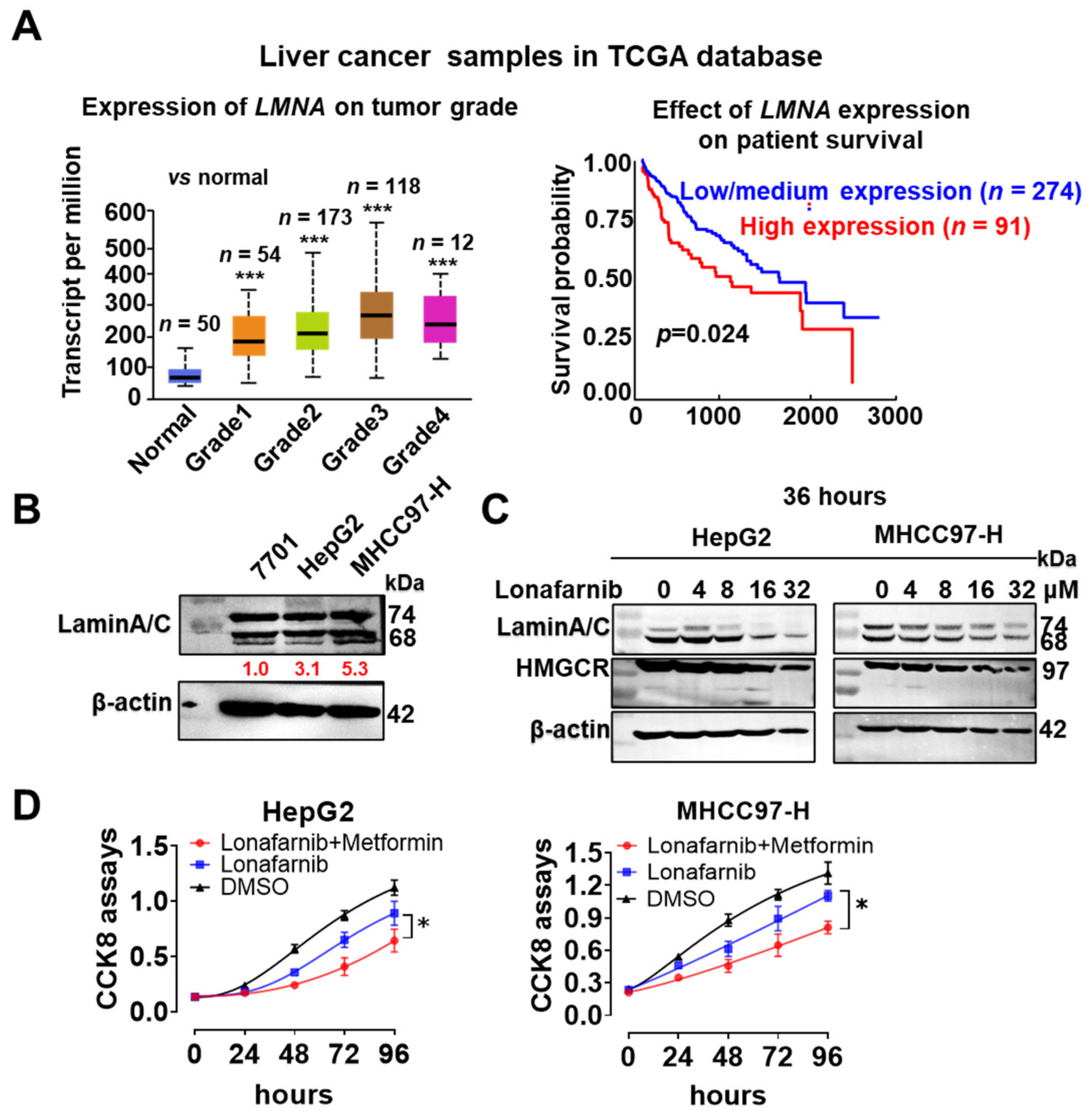 Cells 11 03988 g007 Cells 11 03988 g007