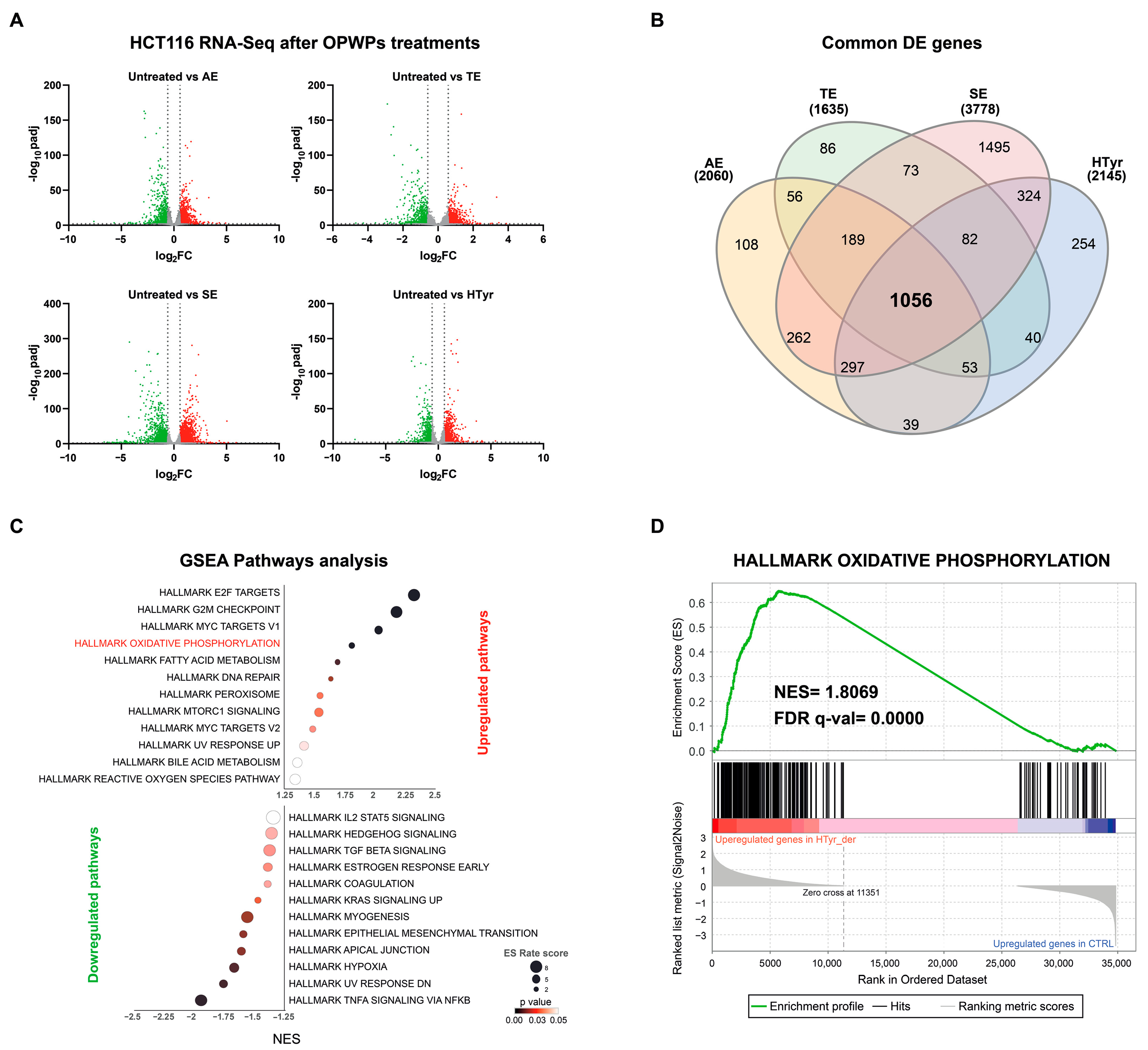 Cells 11 03992 g001 Cells 11 03992 g001