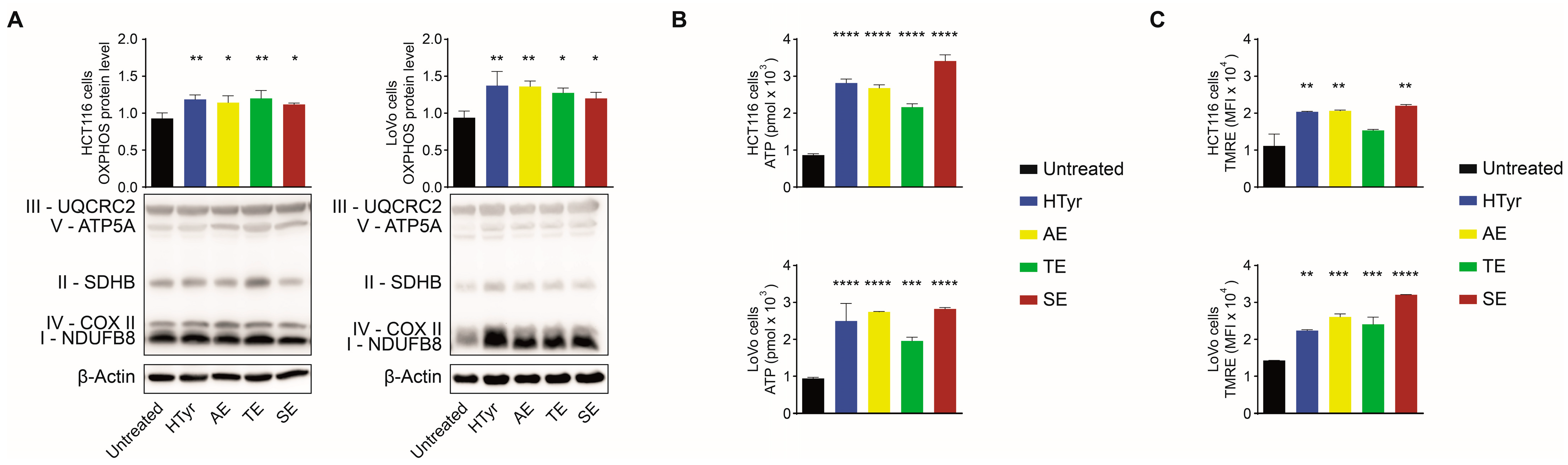 Cells 11 03992 g002 Cells 11 03992 g002