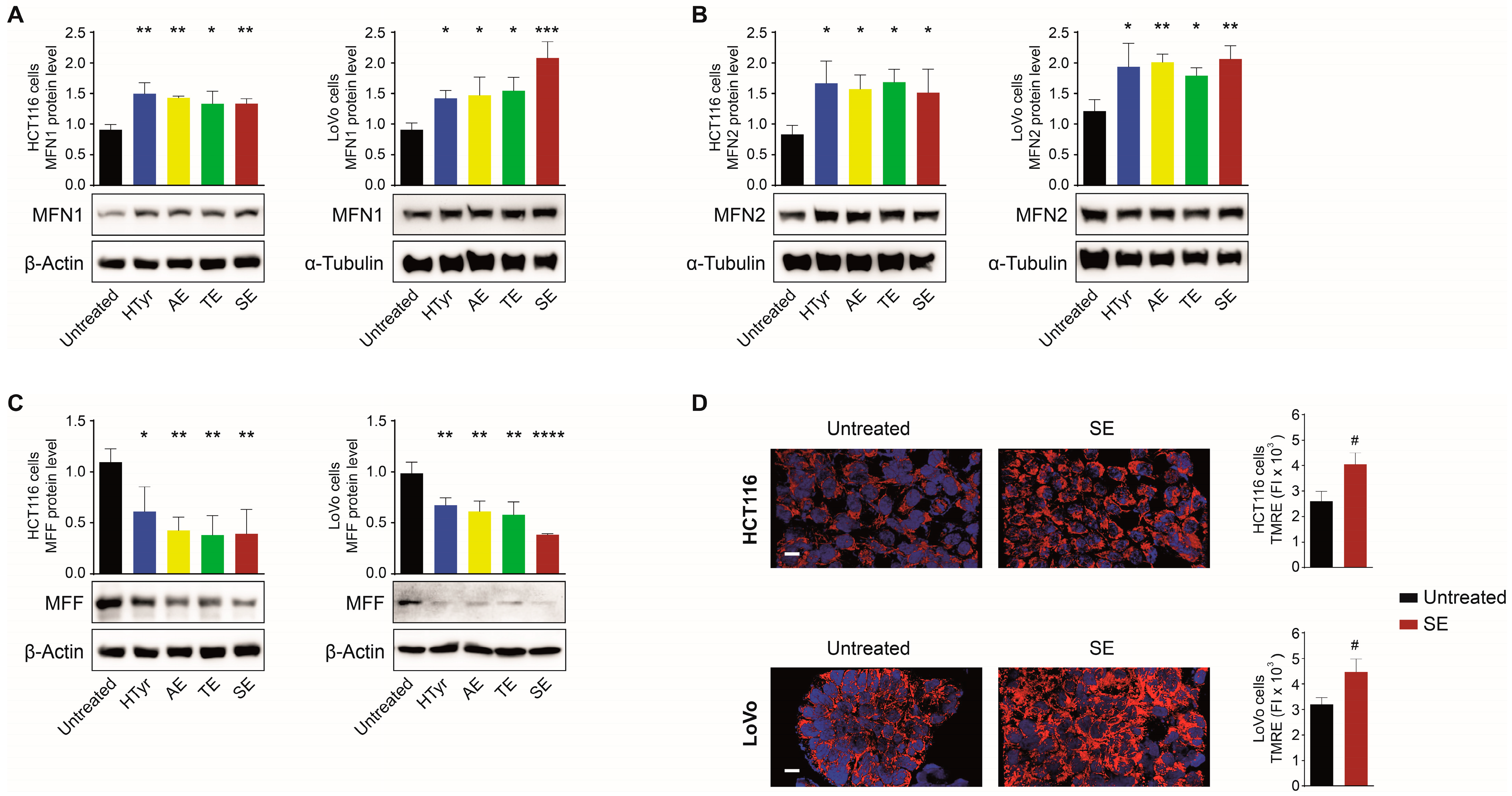 Cells 11 03992 g004 Cells 11 03992 g004