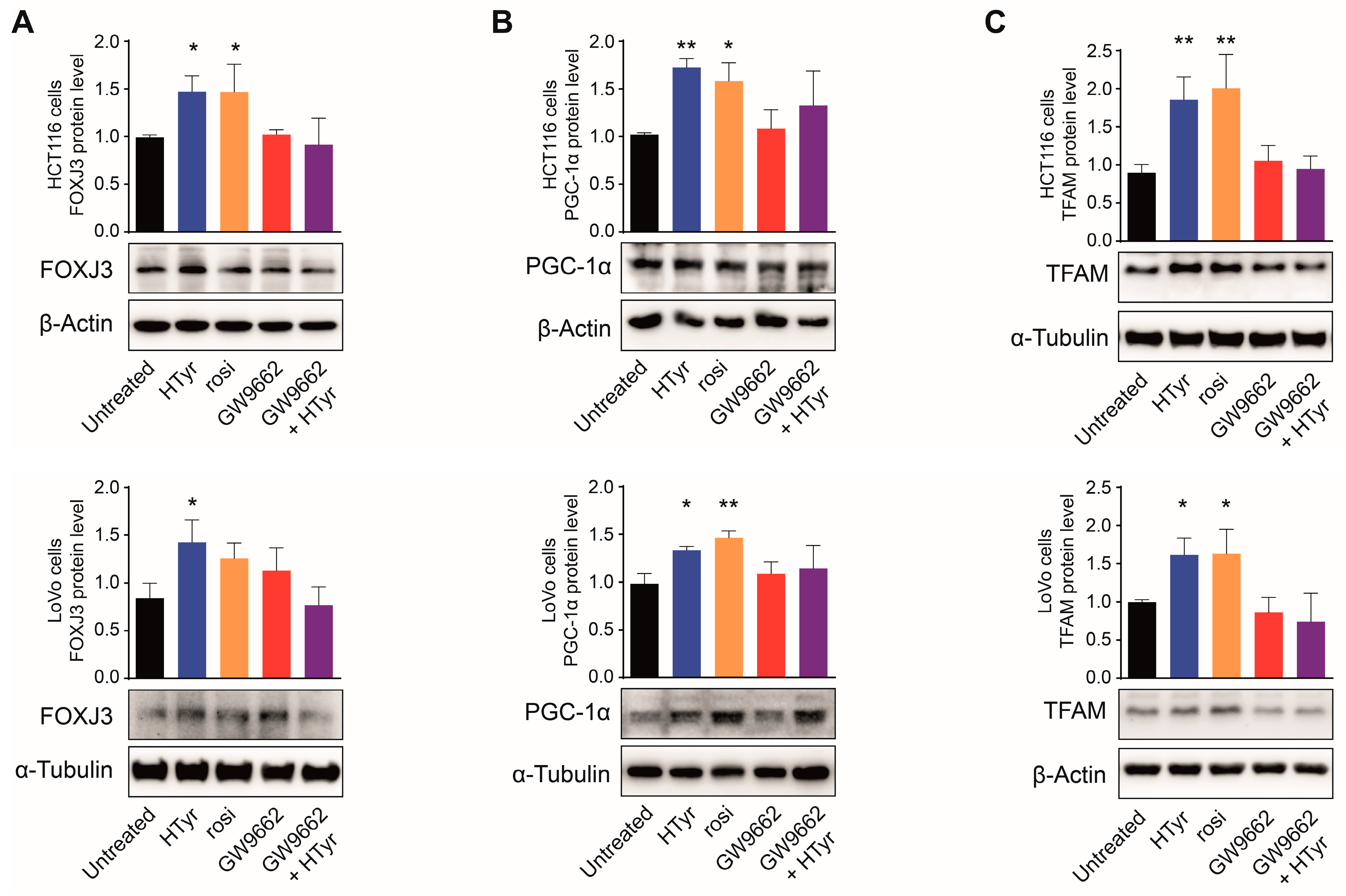 Cells 11 03992 g005 Cells 11 03992 g005