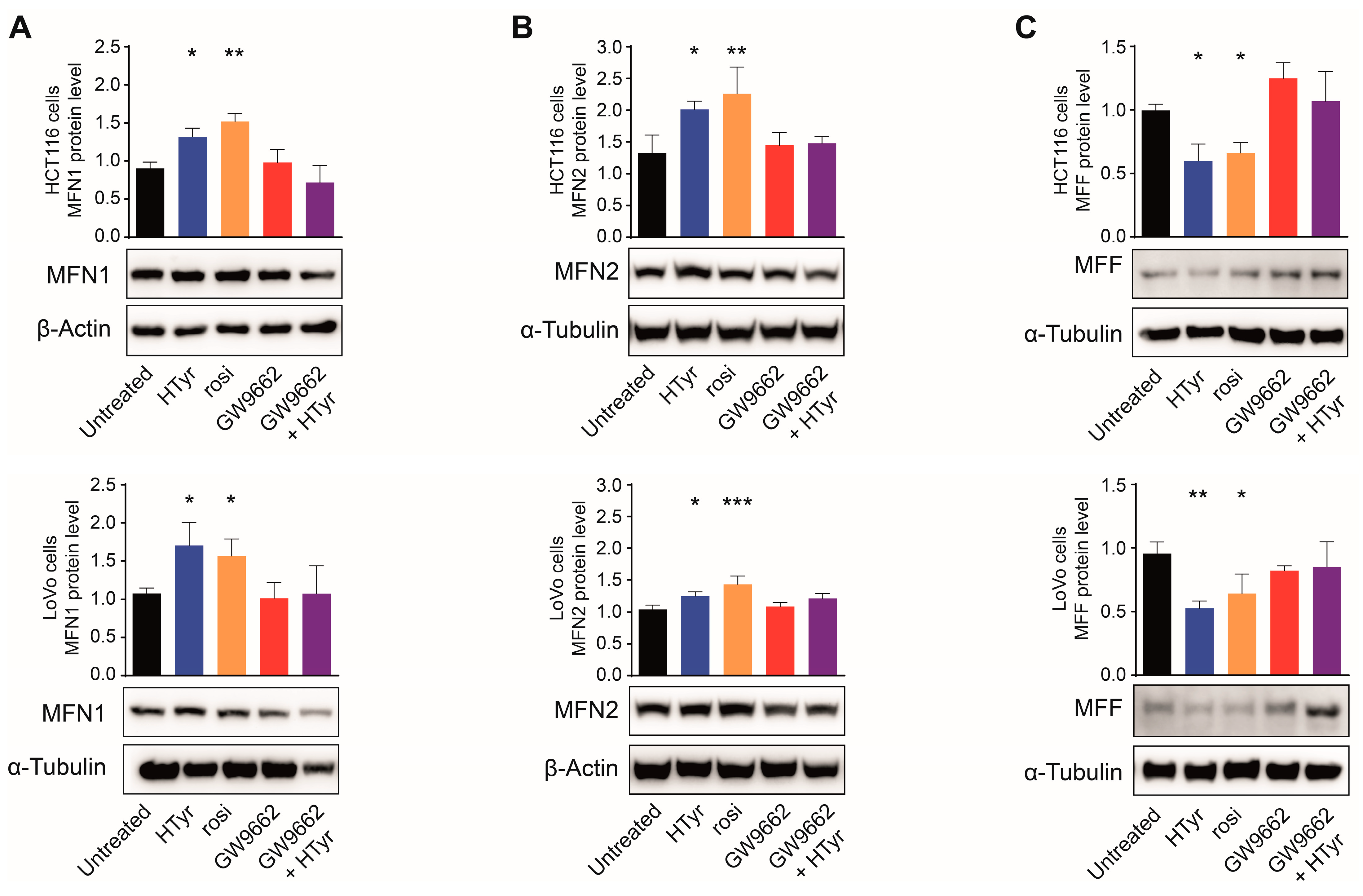 Cells 11 03992 g006 Cells 11 03992 g006