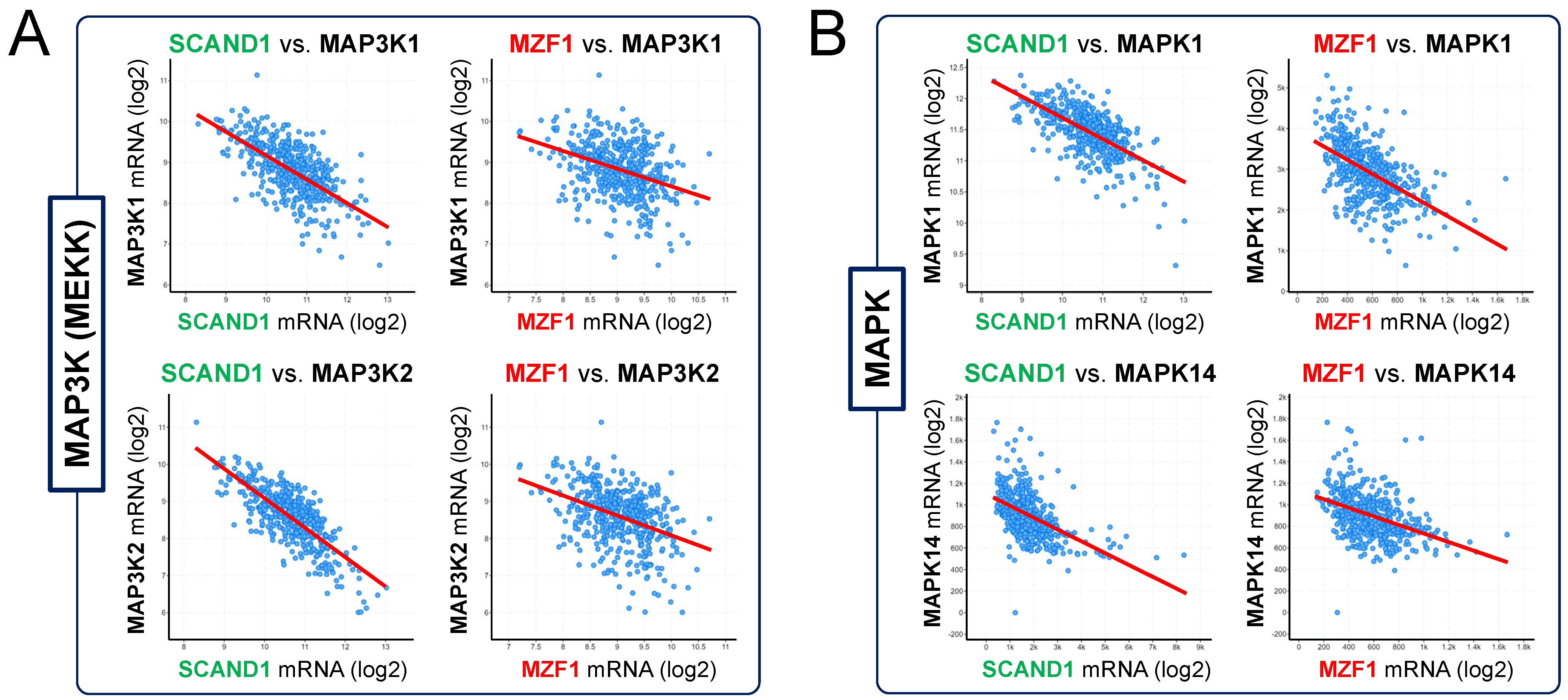 Cells 11 03993 g004a Cells 11 03993 g004a