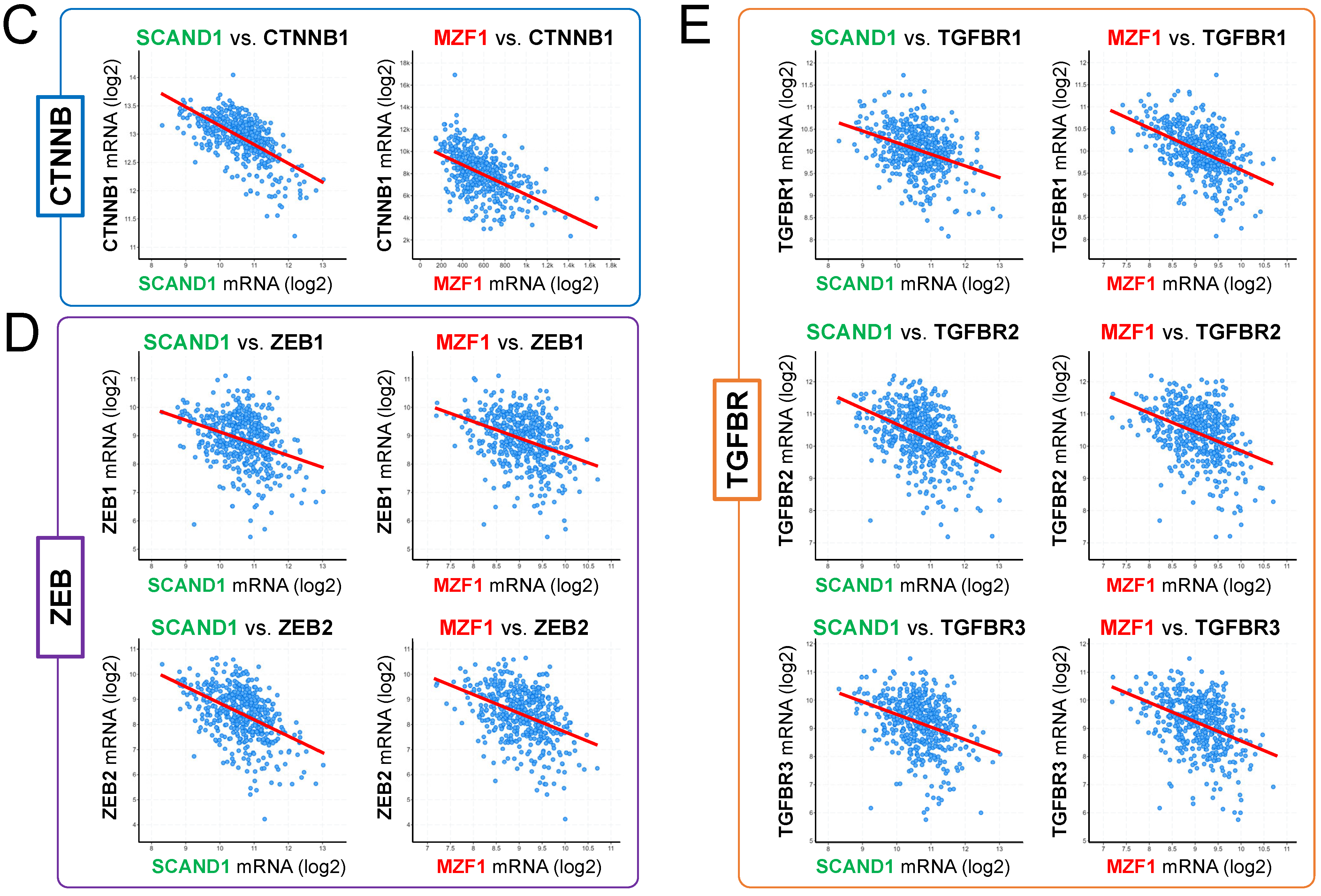Cells 11 03993 g004b Cells 11 03993 g004b