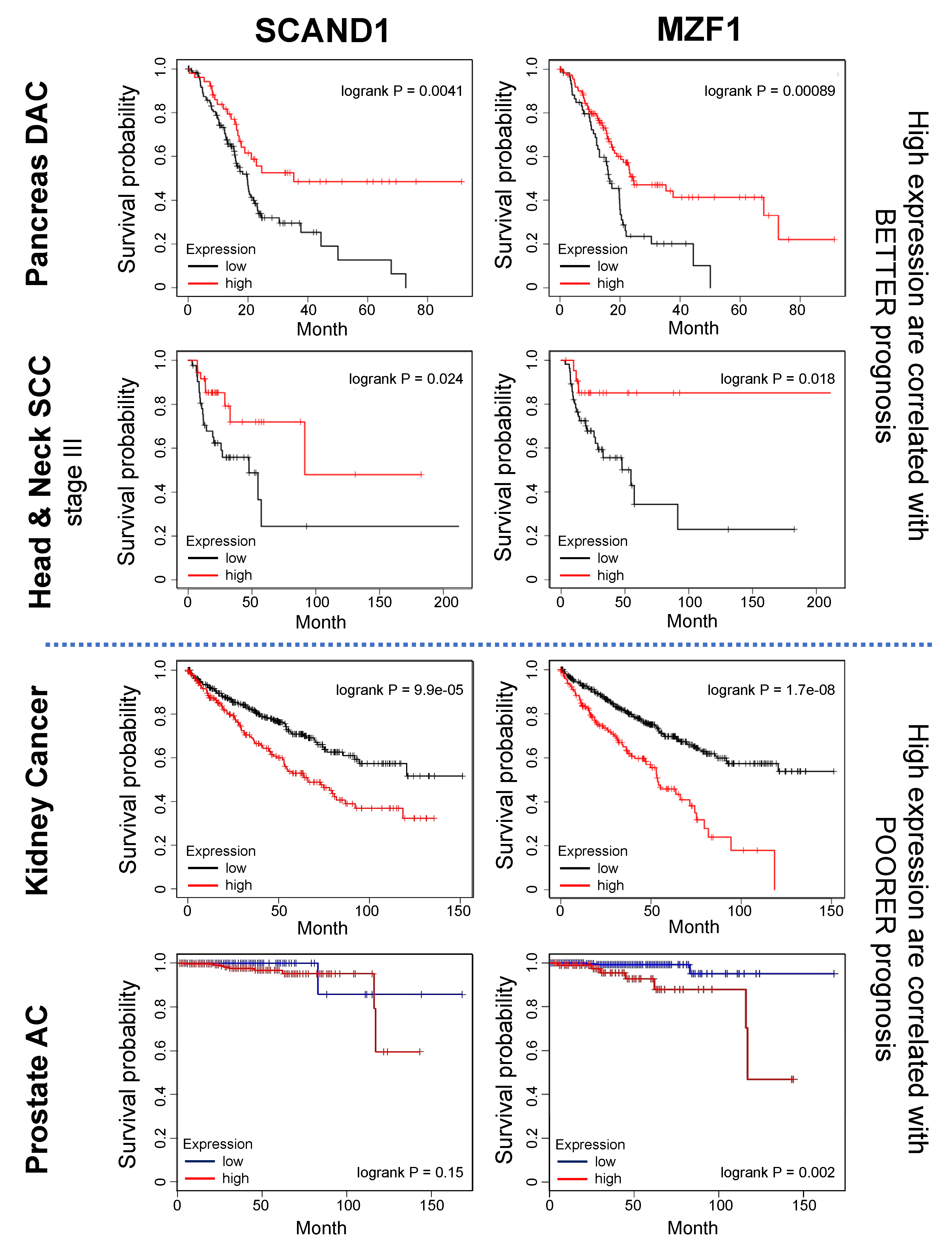 Cells 11 03993 g006 Cells 11 03993 g006