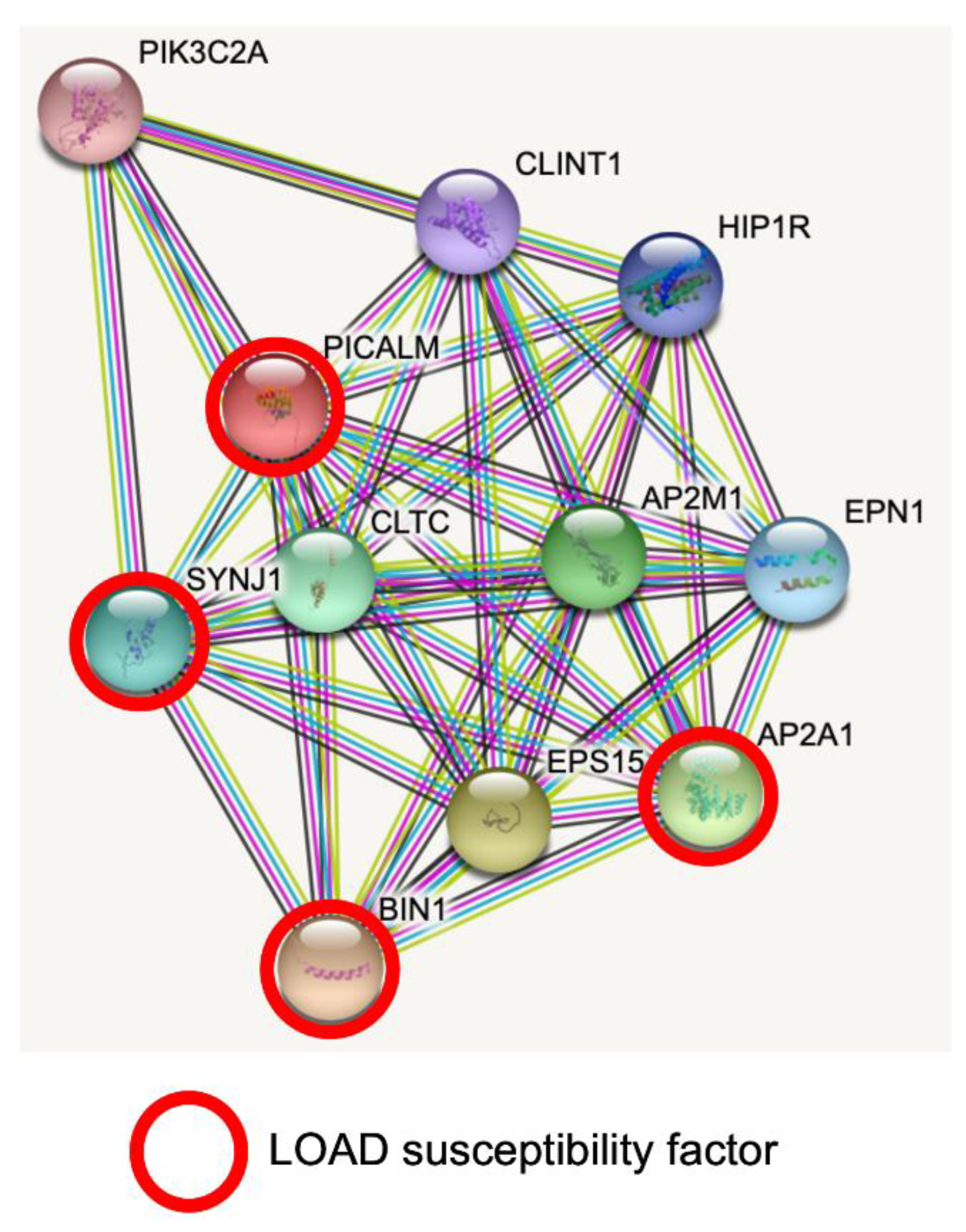 Cells 11 03994 g001 Cells 11 03994 g001