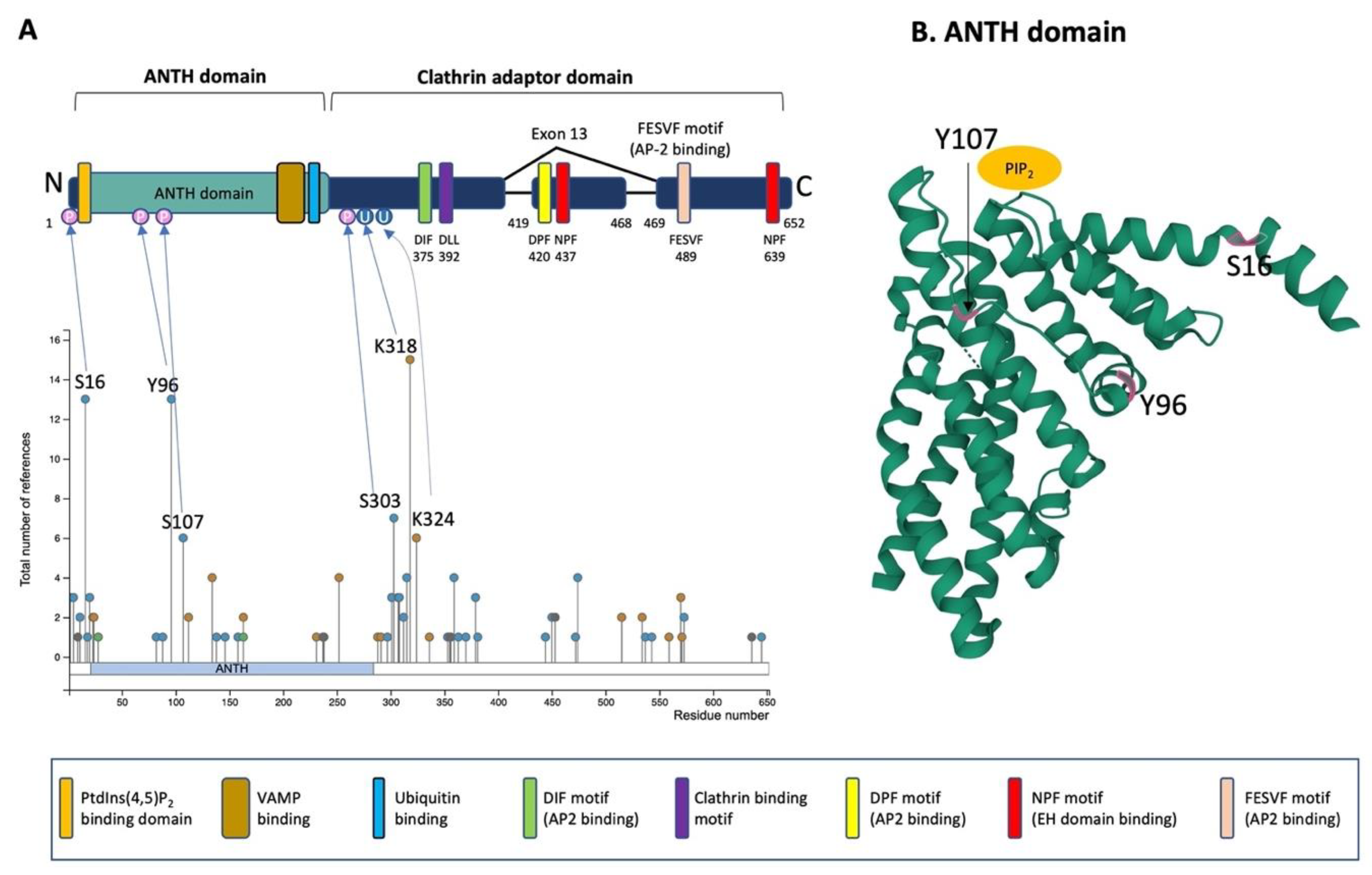 Cells 11 03994 g003 Cells 11 03994 g003
