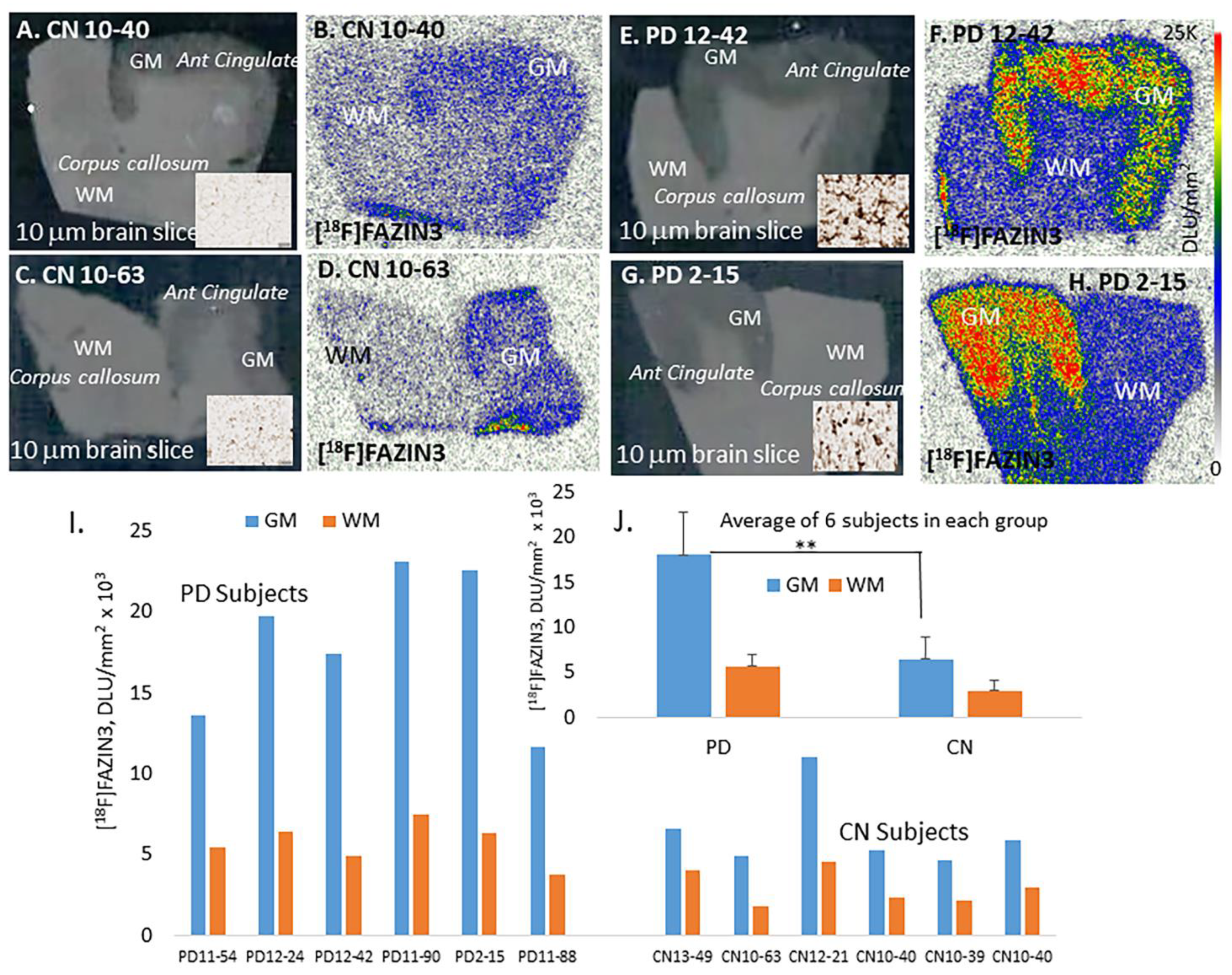 Cells 11 04000 g002 Cells 11 04000 g002