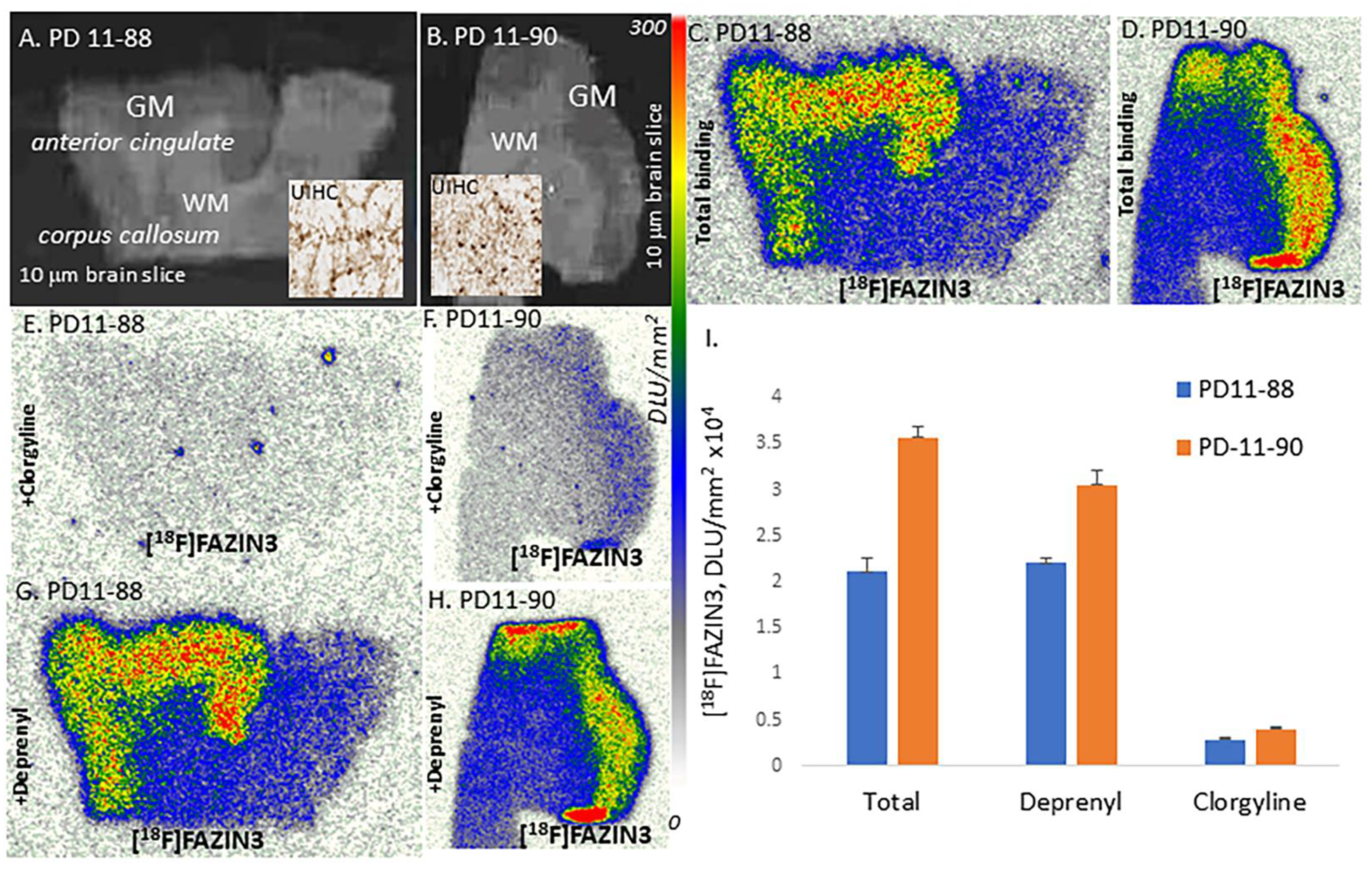Cells 11 04000 g003 Cells 11 04000 g003