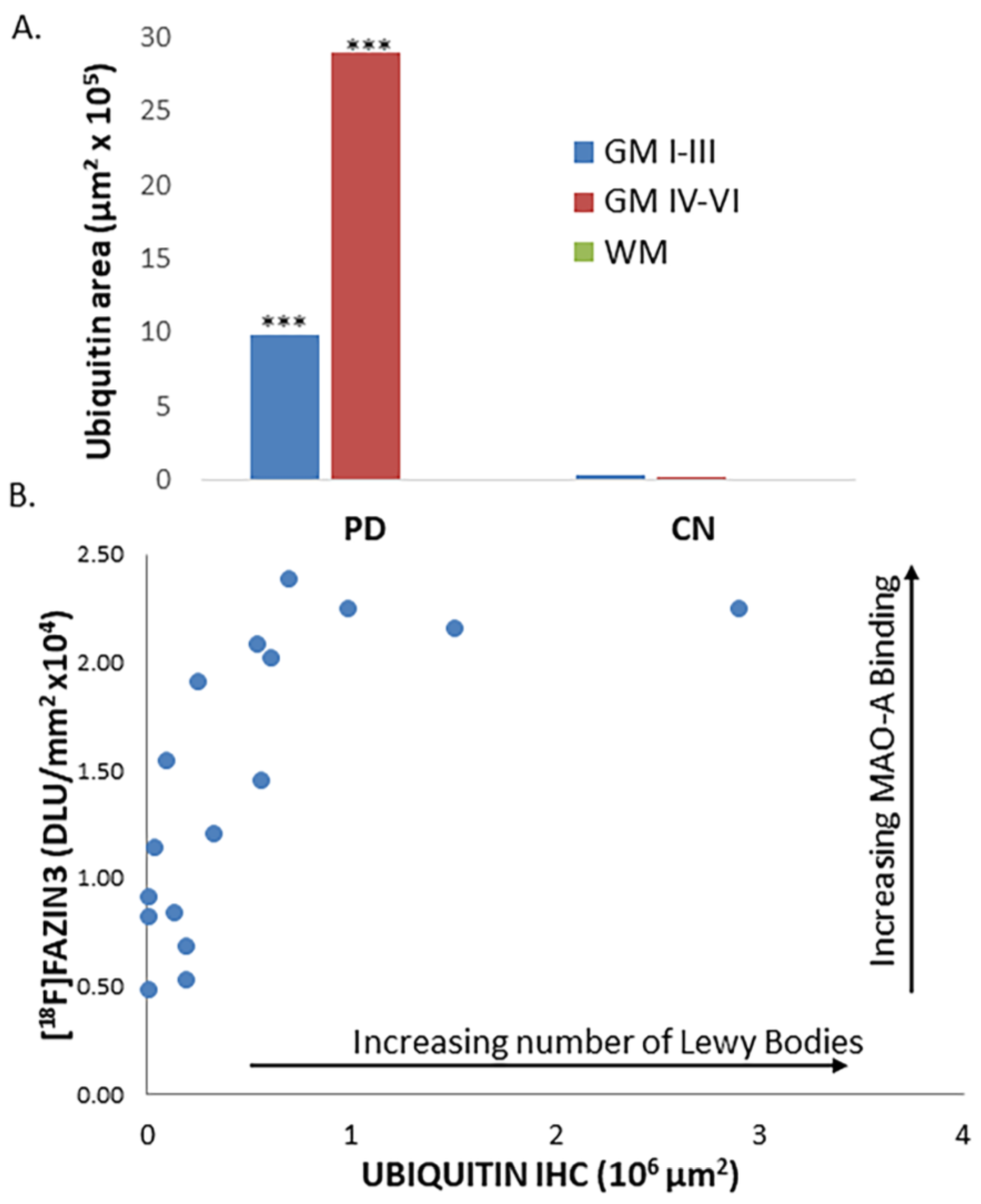 Cells 11 04000 g004 Cells 11 04000 g004