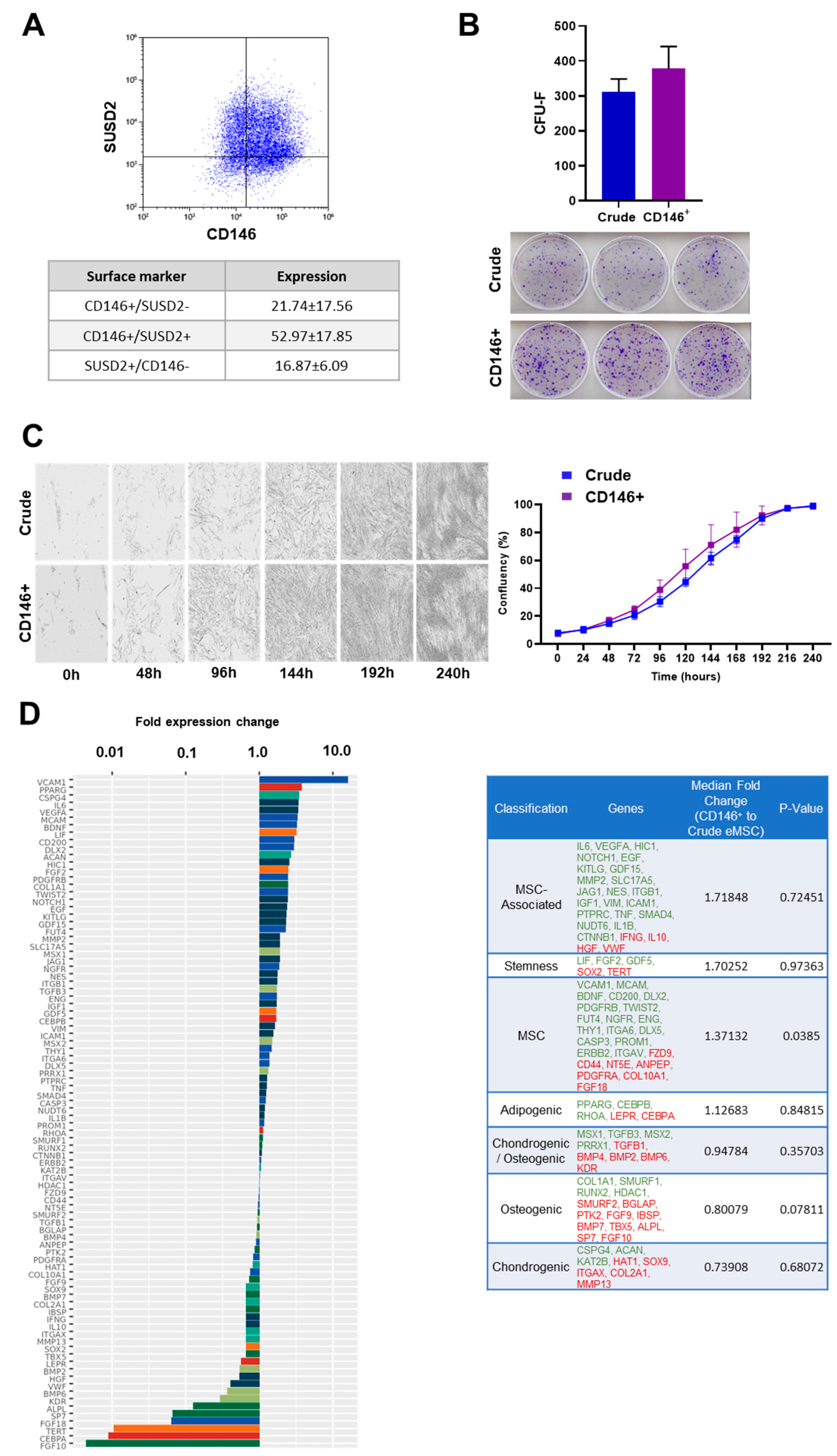 Cells 11 04002 g001 Cells 11 04002 g001