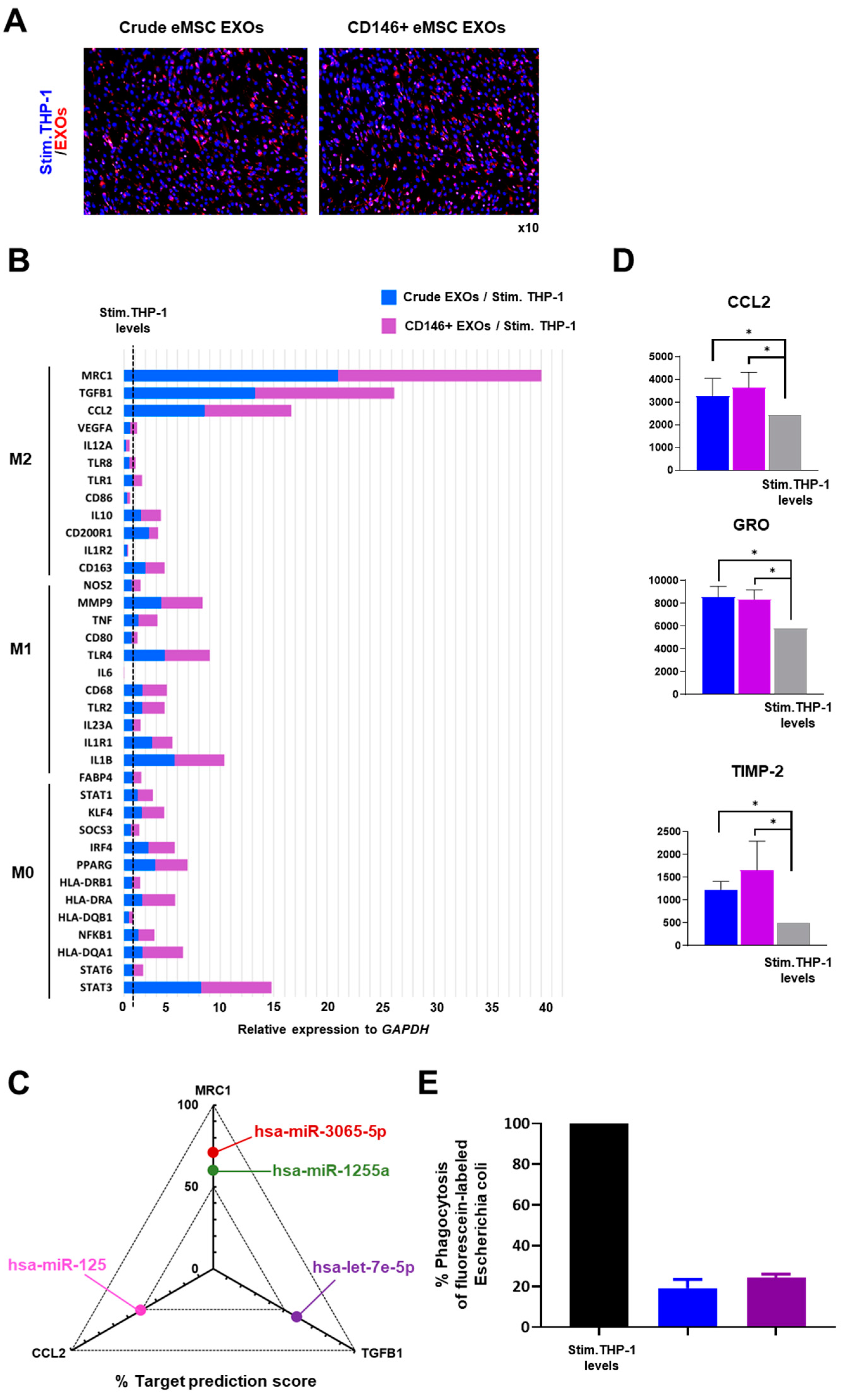 Cells 11 04002 g005 Cells 11 04002 g005