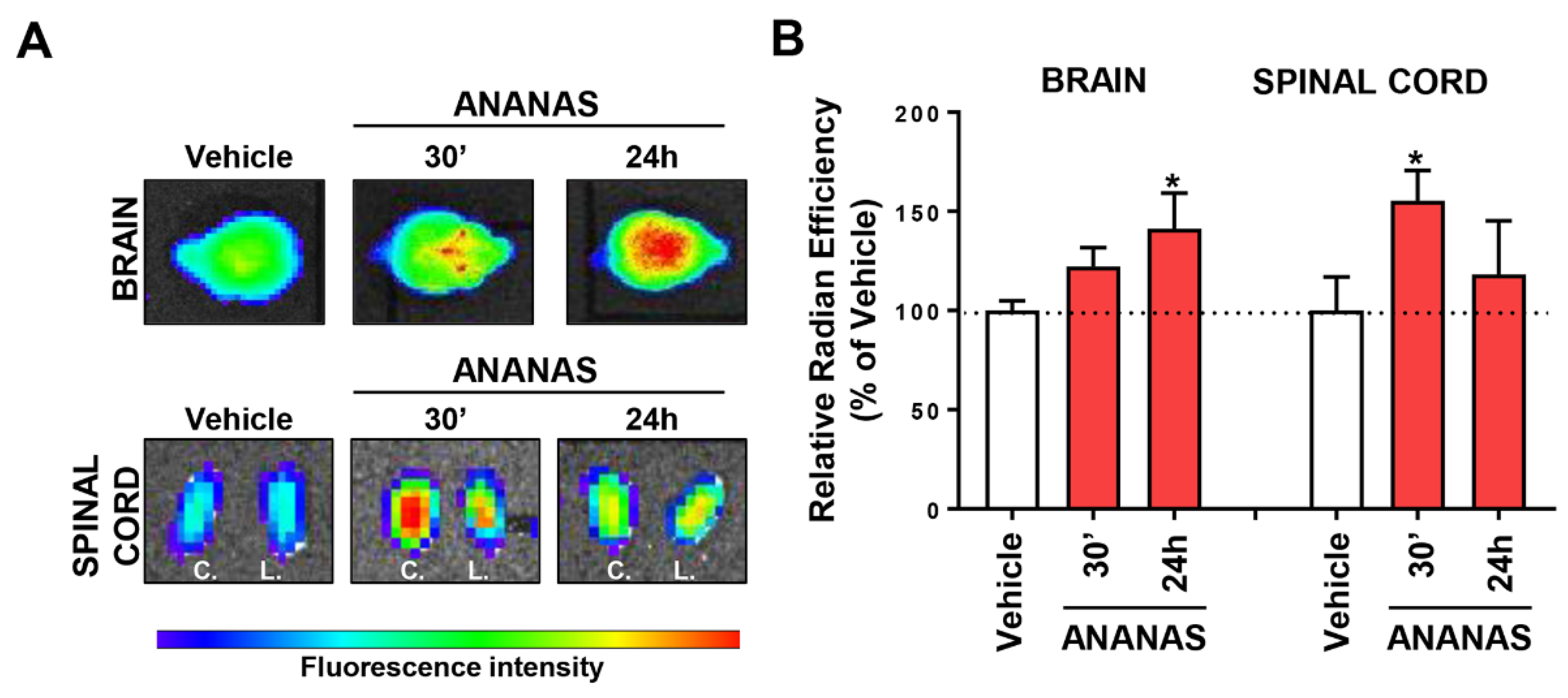 Cells 11 04003 g005 Cells 11 04003 g005