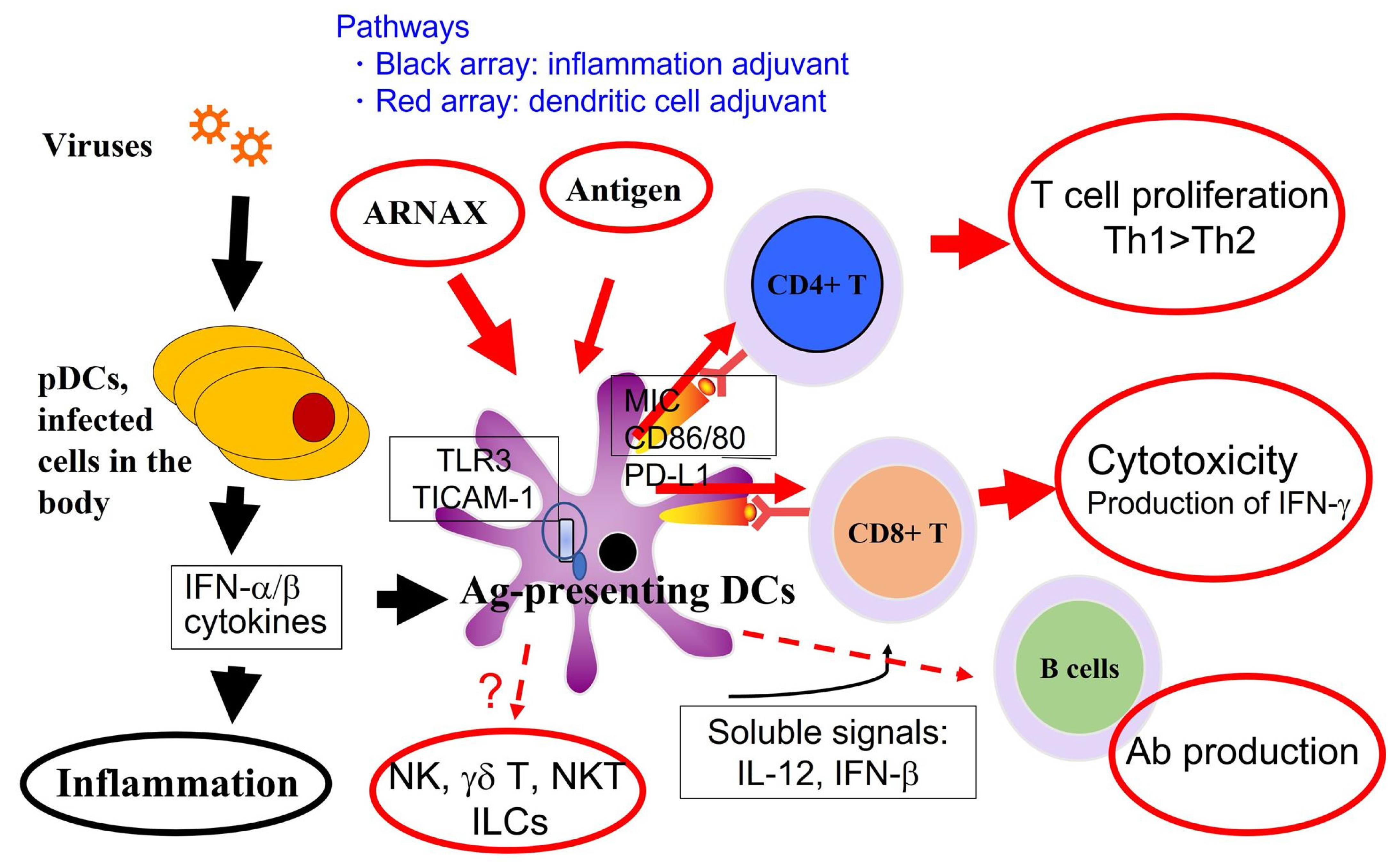 Cells 11 04006 g002 Cells 11 04006 g002