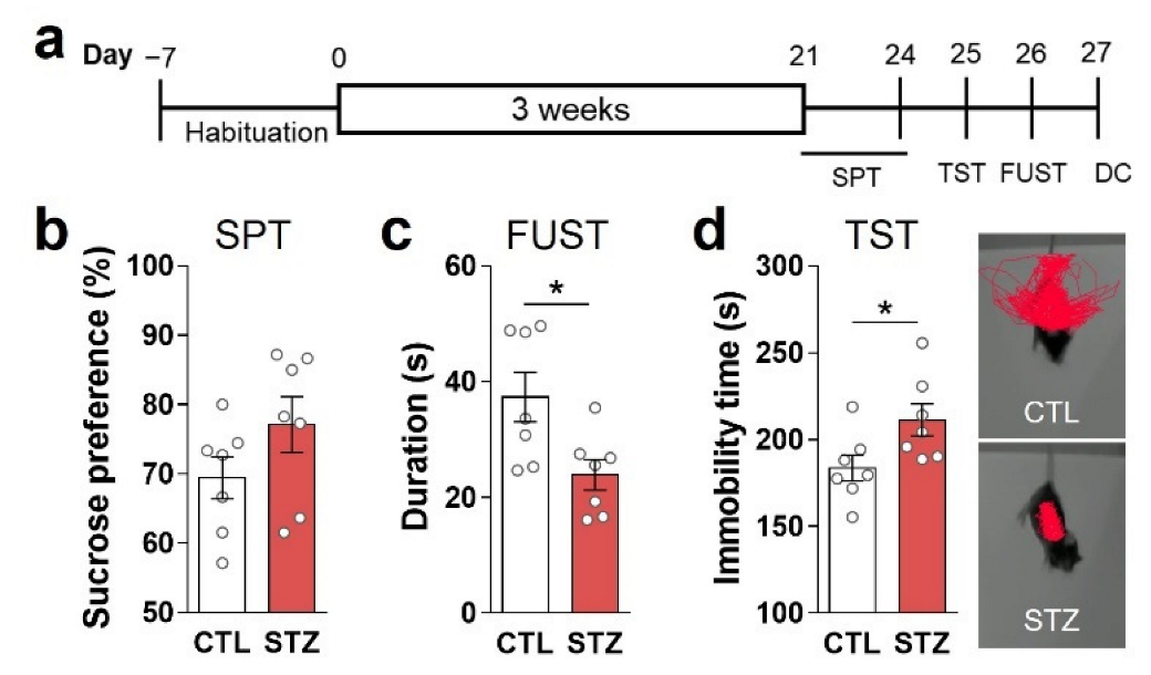Cells 11 04012 g002 Cells 11 04012 g002