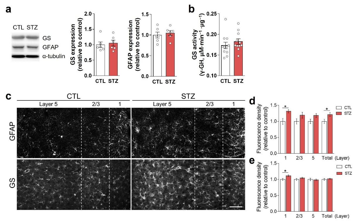 Cells 11 04012 g003 Cells 11 04012 g003