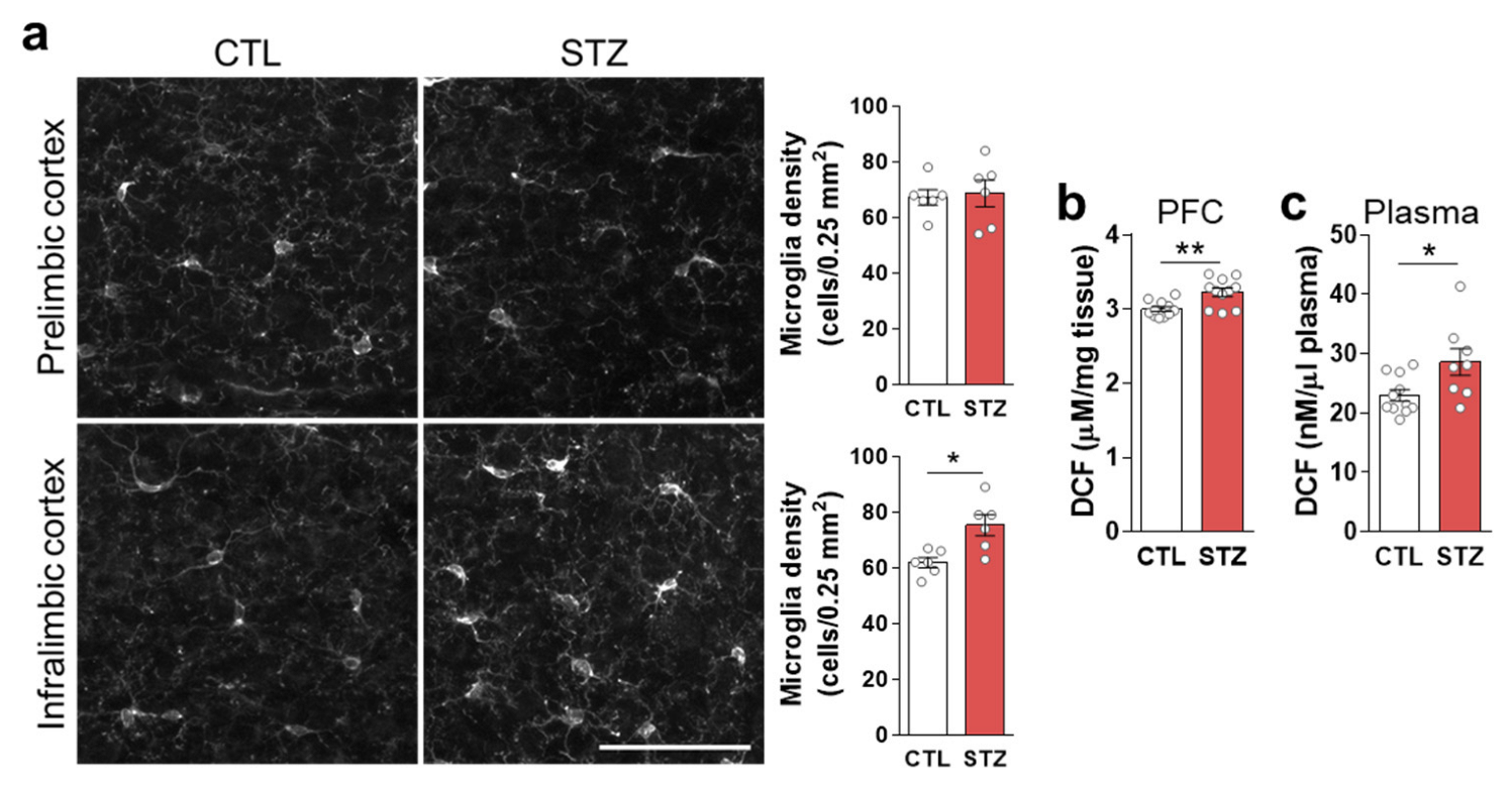 Cells 11 04012 g004 Cells 11 04012 g004
