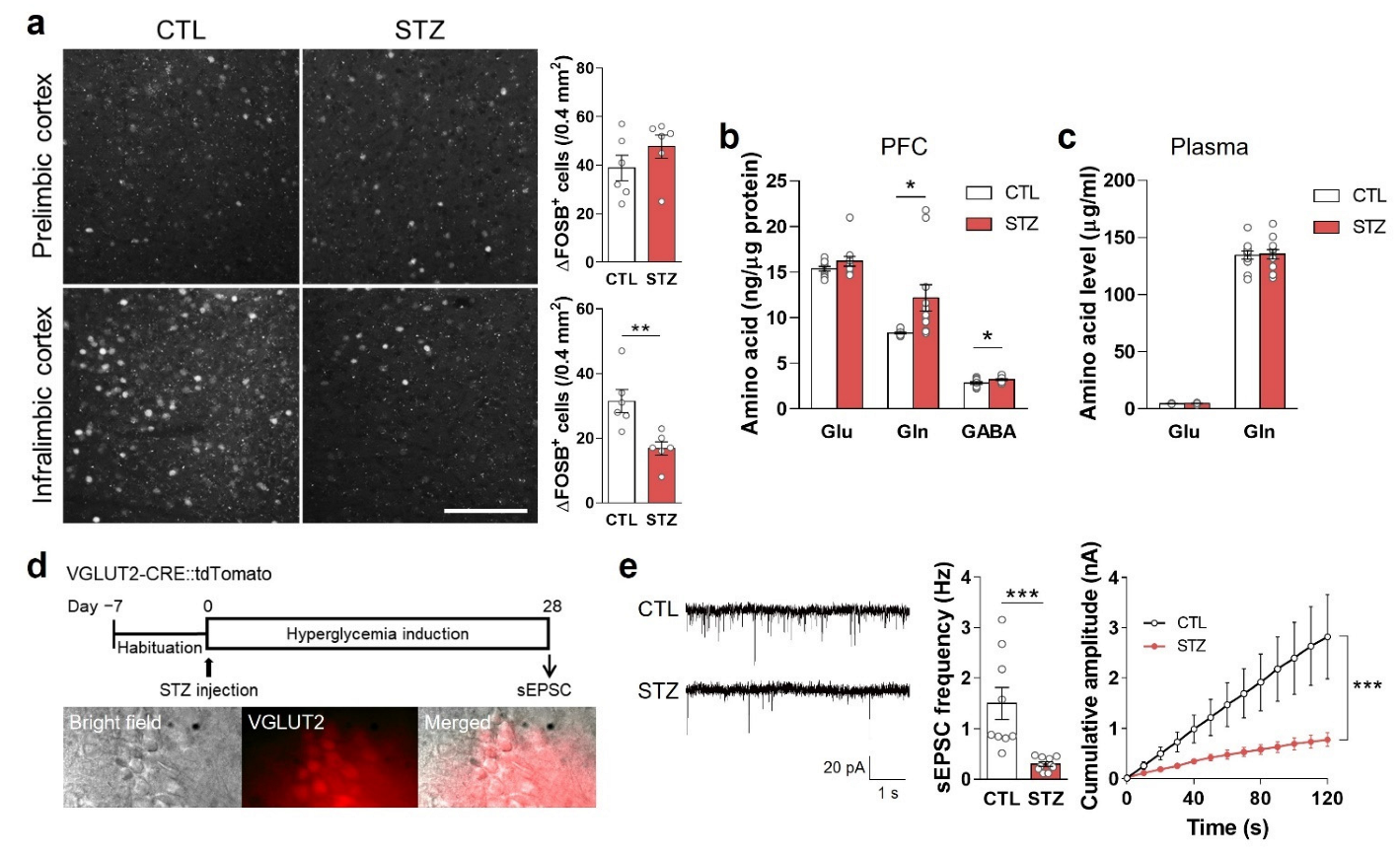 Cells 11 04012 g005 Cells 11 04012 g005