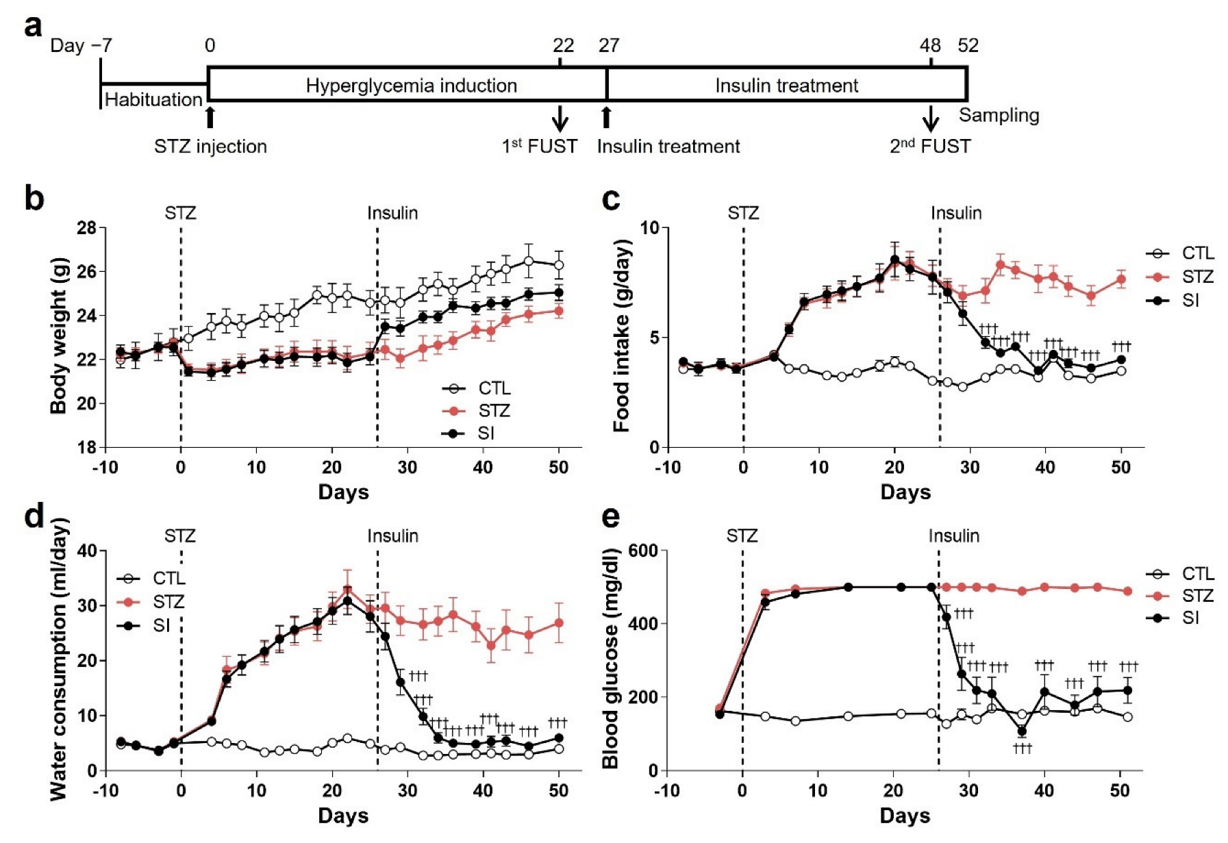Cells 11 04012 g006 Cells 11 04012 g006