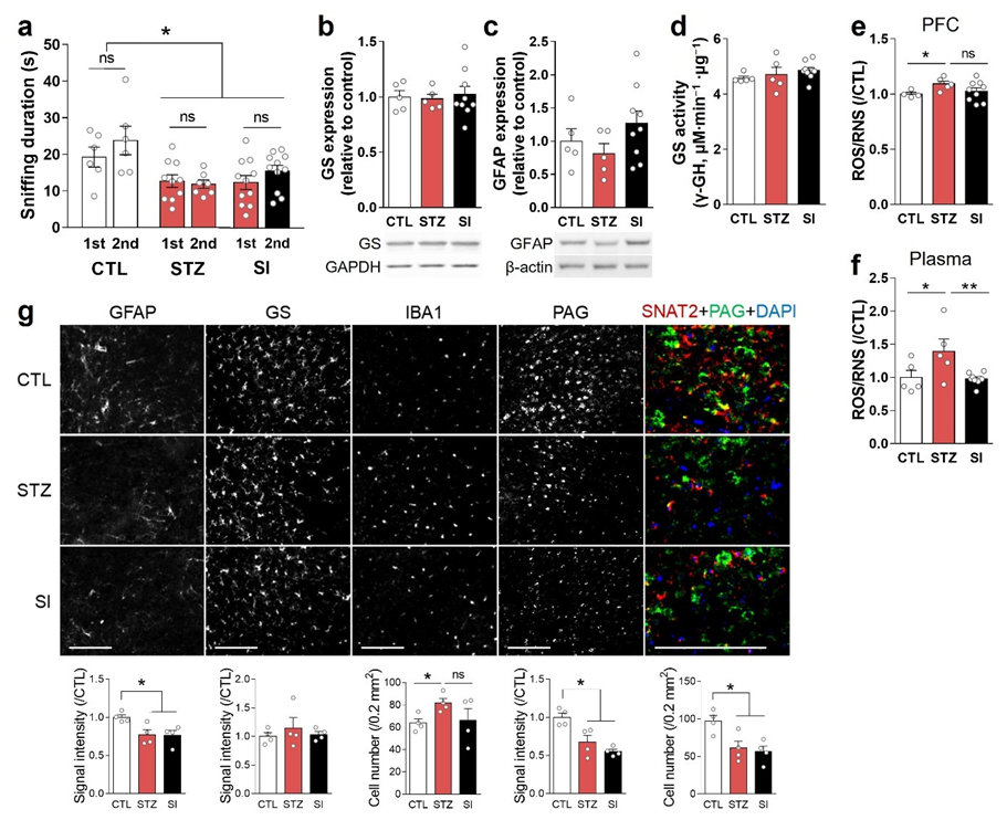 Cells 11 04012 g007 Cells 11 04012 g007