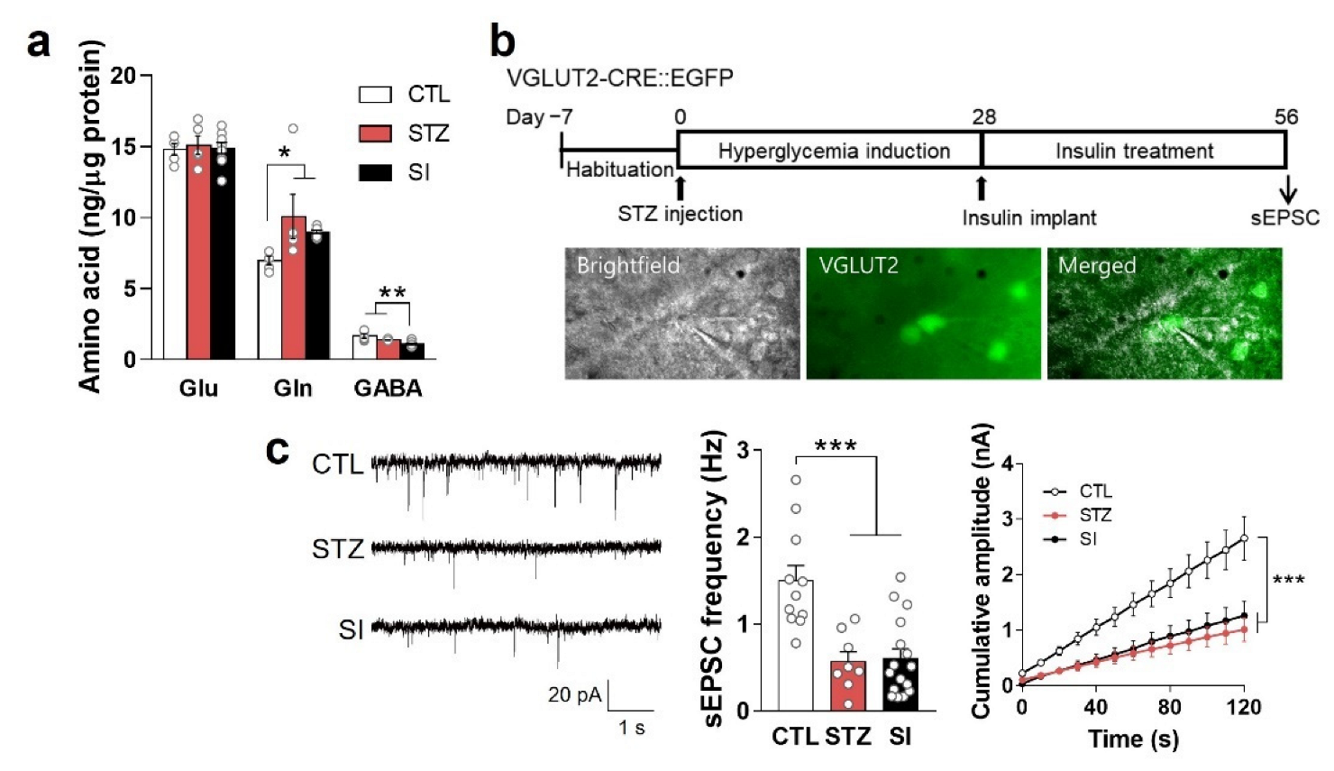 Cells 11 04012 g008 Cells 11 04012 g008