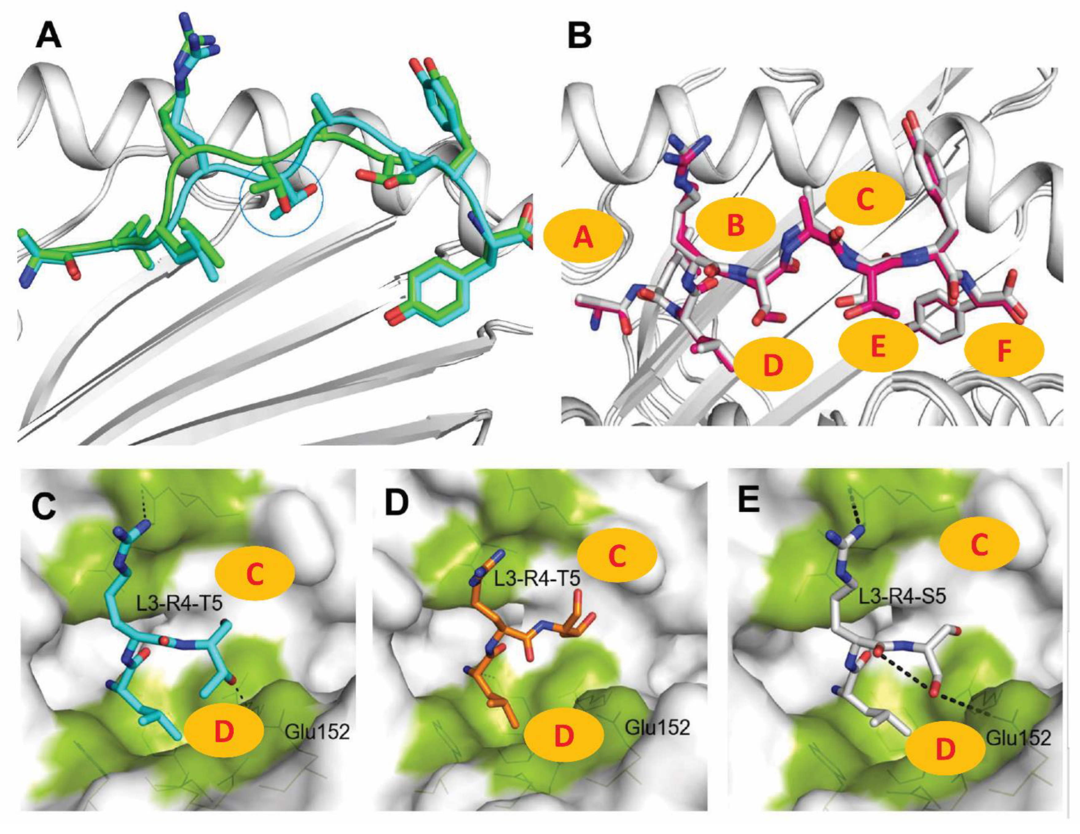 Cells 11 04017 g002 Cells 11 04017 g002