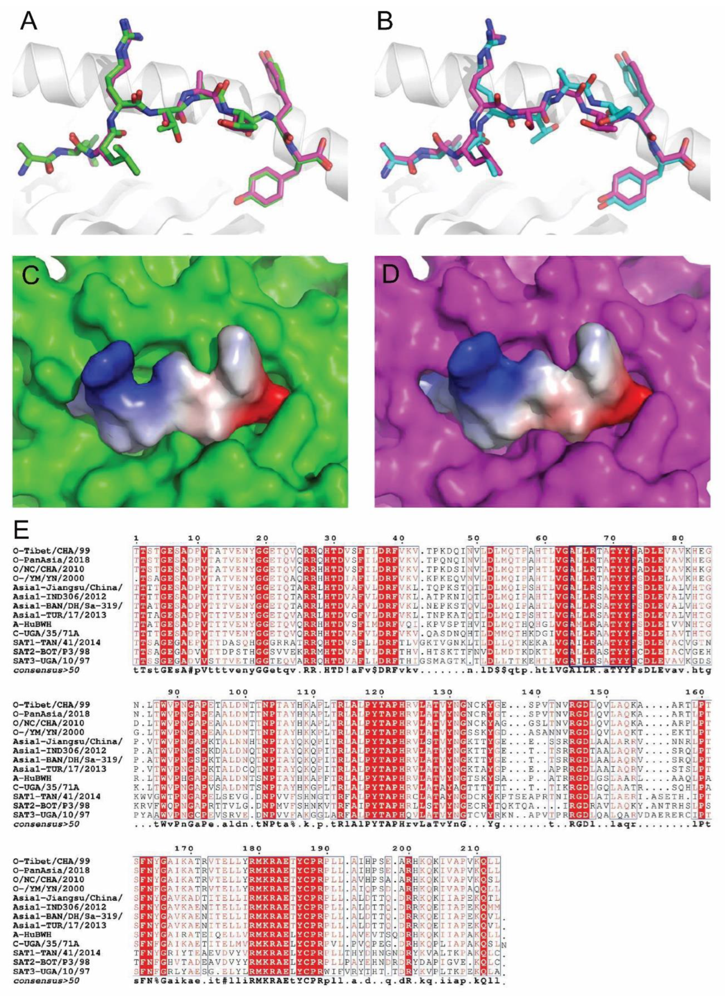 Cells 11 04017 g006 Cells 11 04017 g006