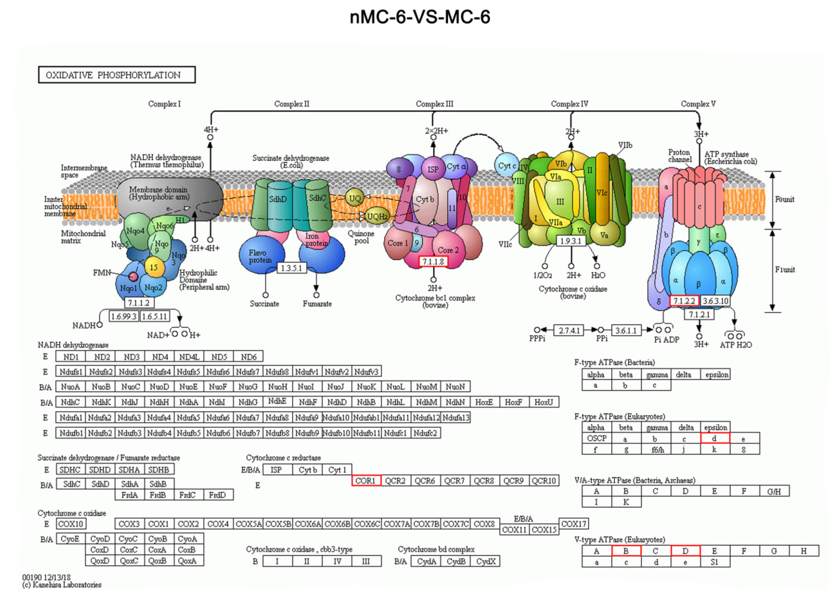 Cells 11 04018 g005 Cells 11 04018 g005