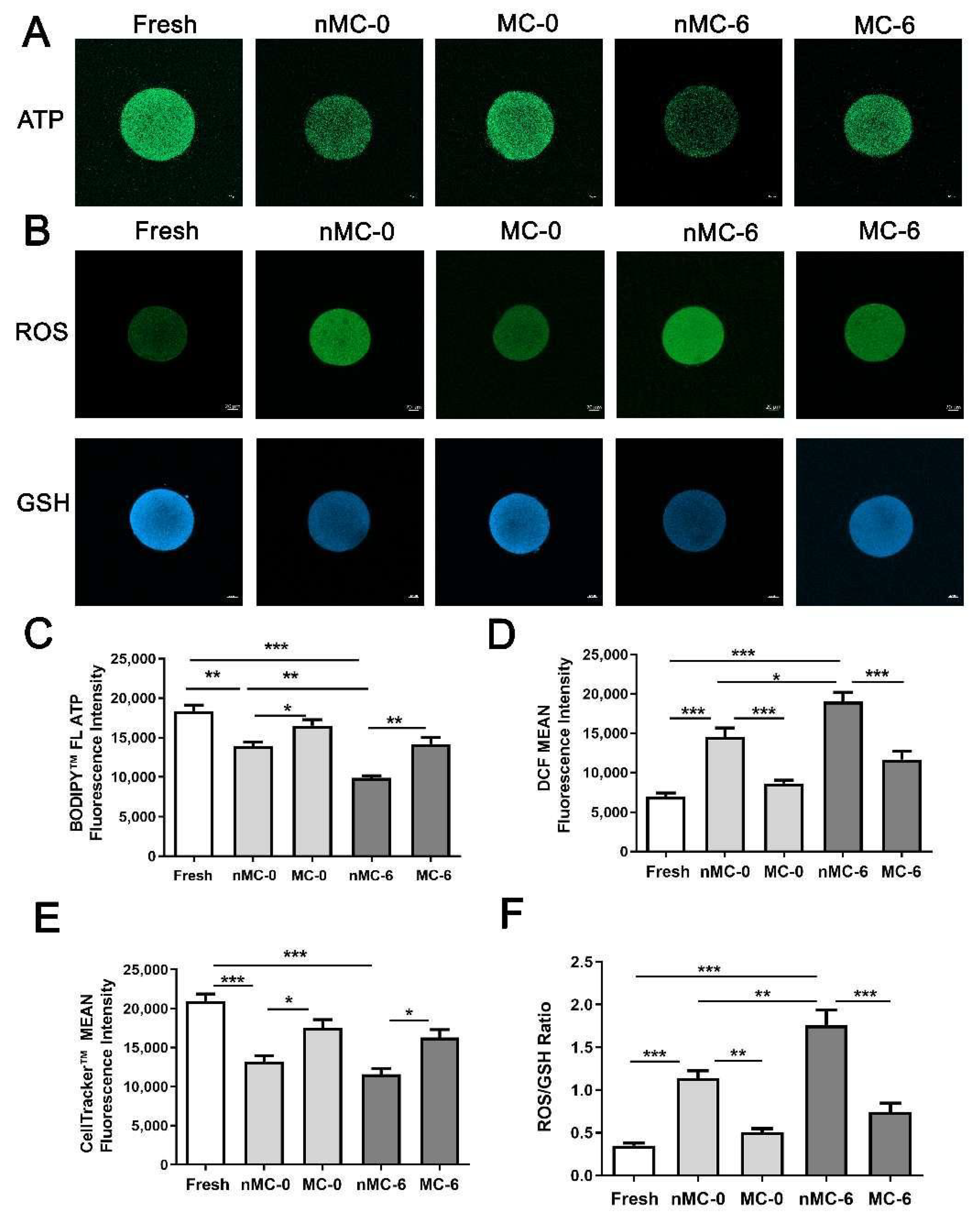 Cells 11 04018 g006 Cells 11 04018 g006