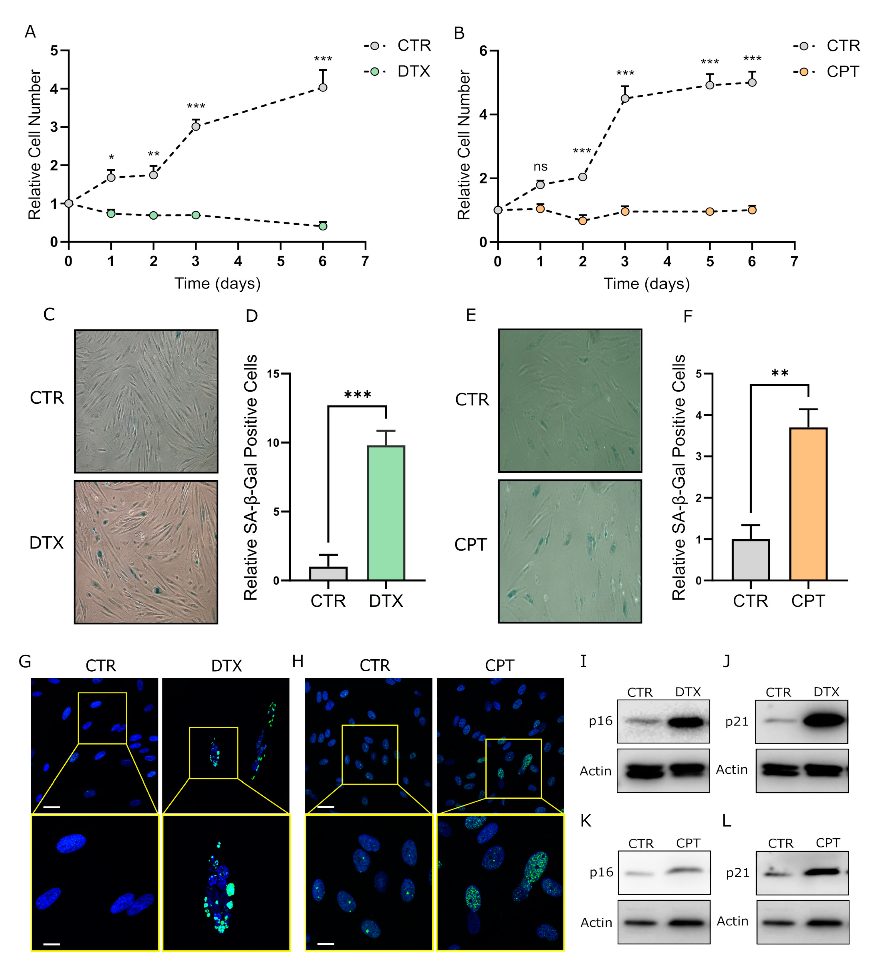 Therapy-Induced Stromal Senescence Promoting Aggressiveness