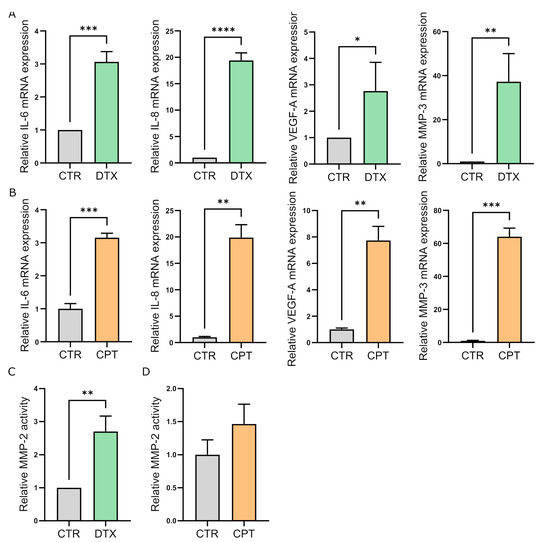 Pelophen B is a non-taxoid binding microtubule-stabilizing