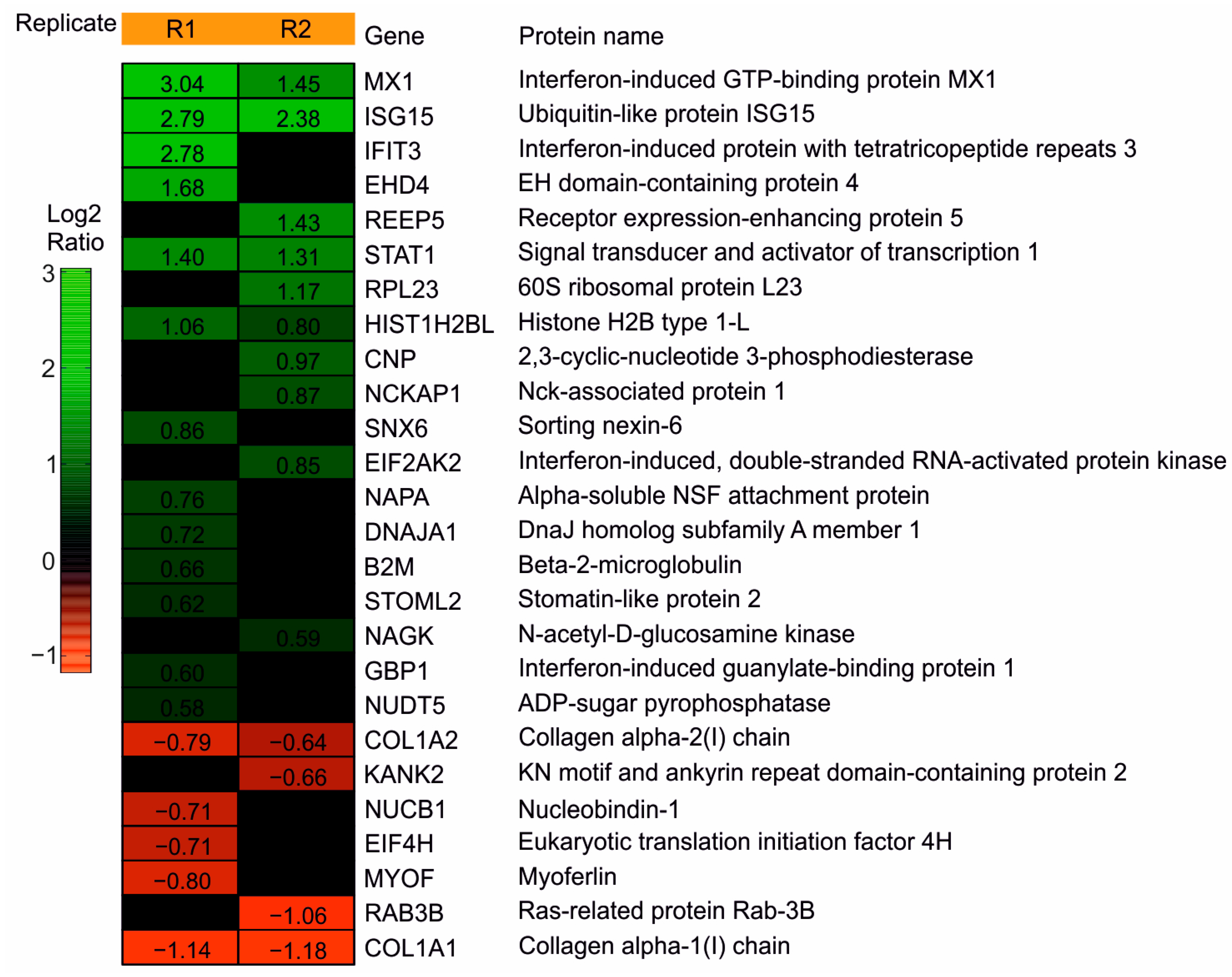 Cells 11 04028 g002 Cells 11 04028 g002