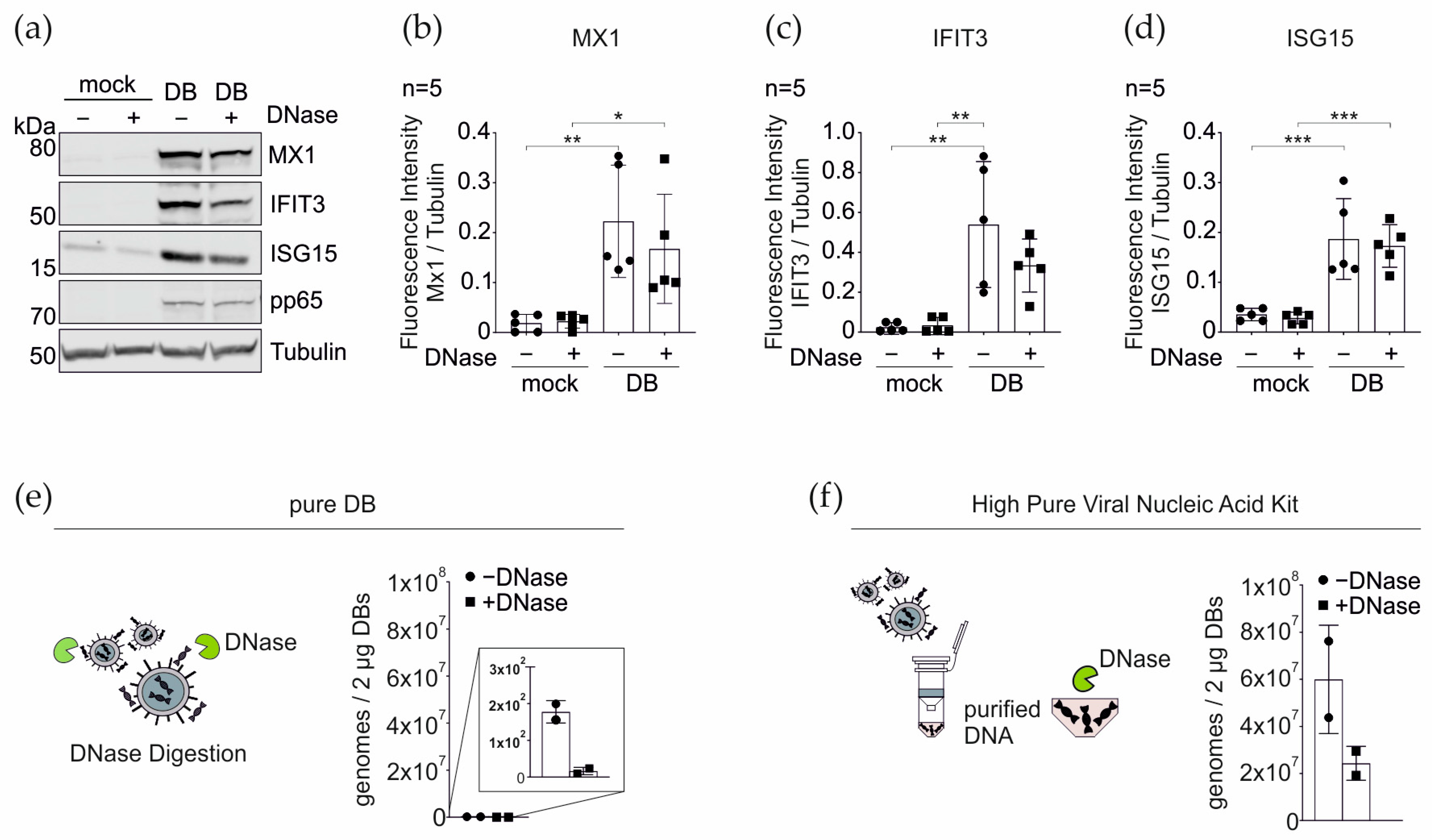 Cells 11 04028 g009 Cells 11 04028 g009