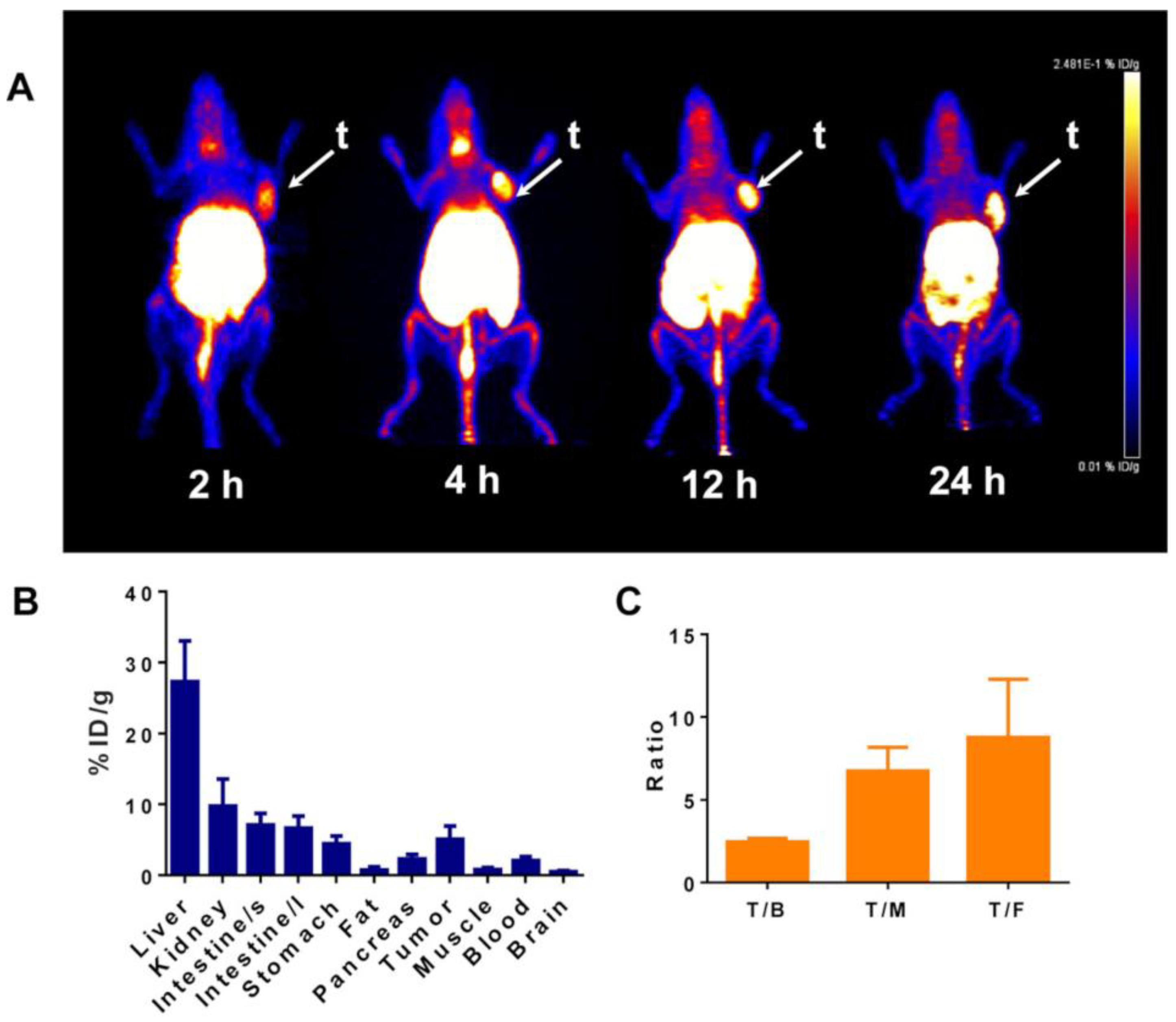 Cells 11 04029 g003 Cells 11 04029 g003