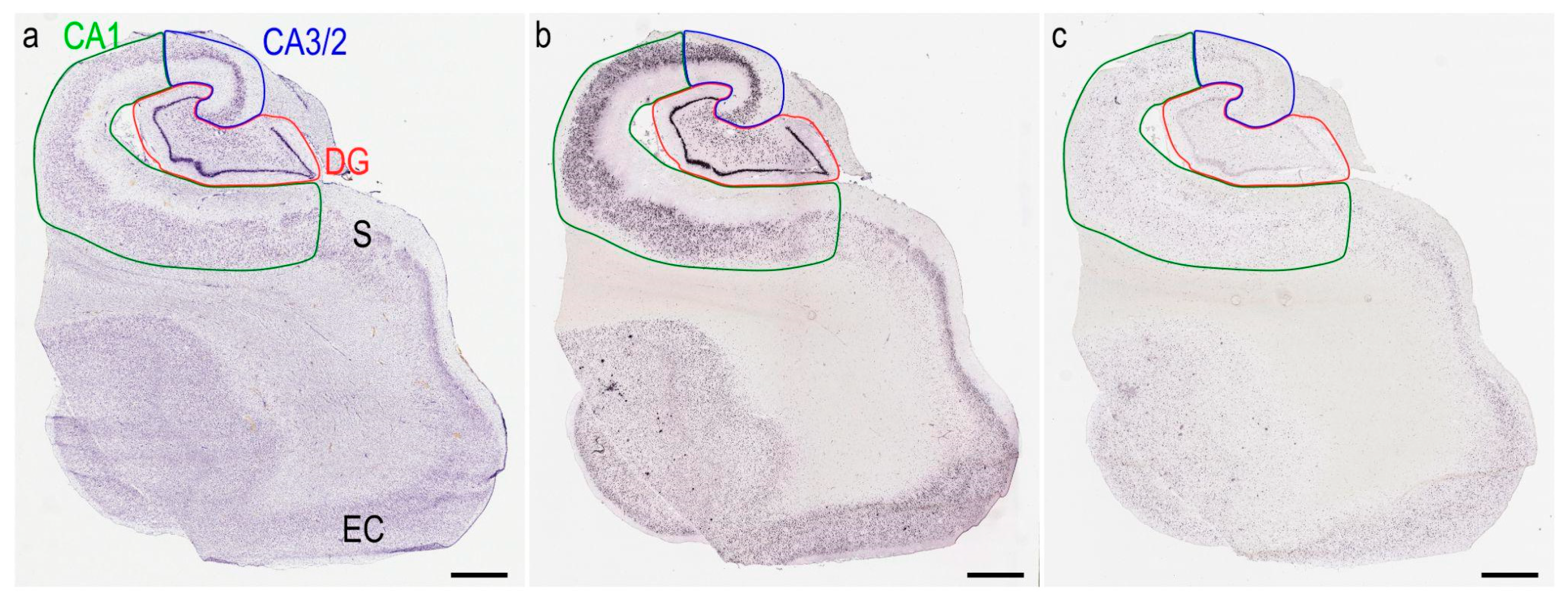Cells 11 04033 g001 Cells 11 04033 g001