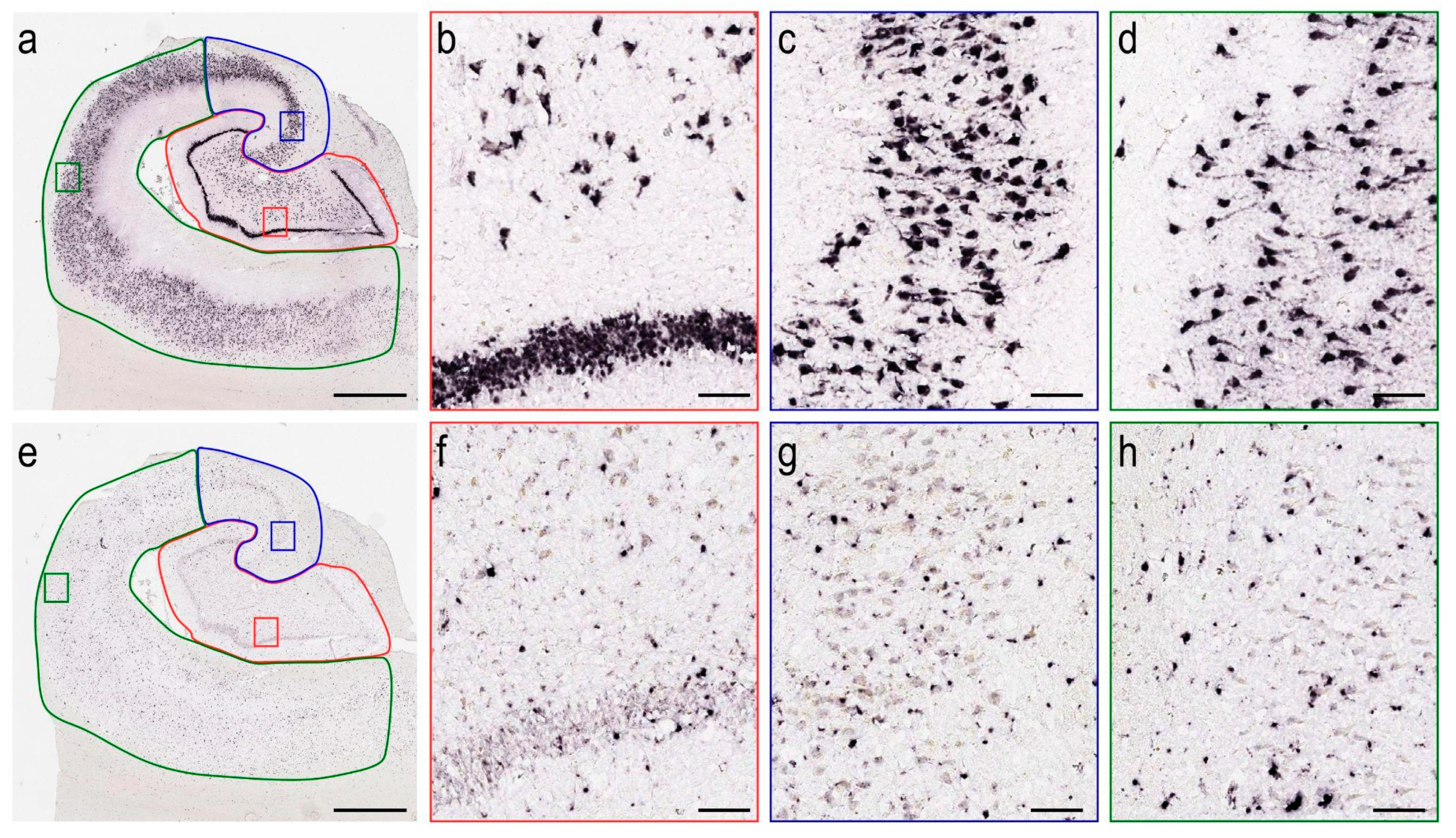 Cells 11 04033 g002 Cells 11 04033 g002