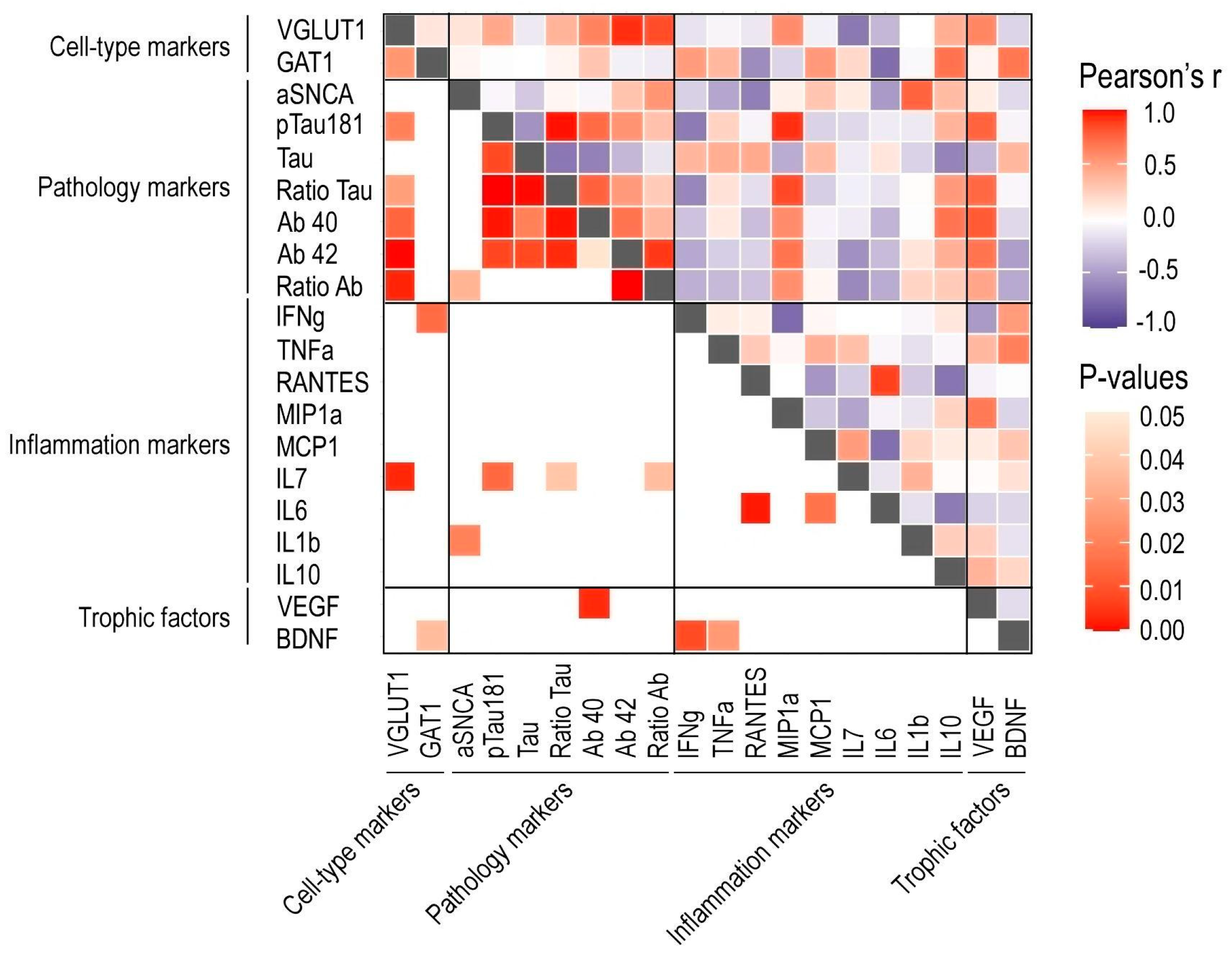 Cells 11 04033 g006 Cells 11 04033 g006