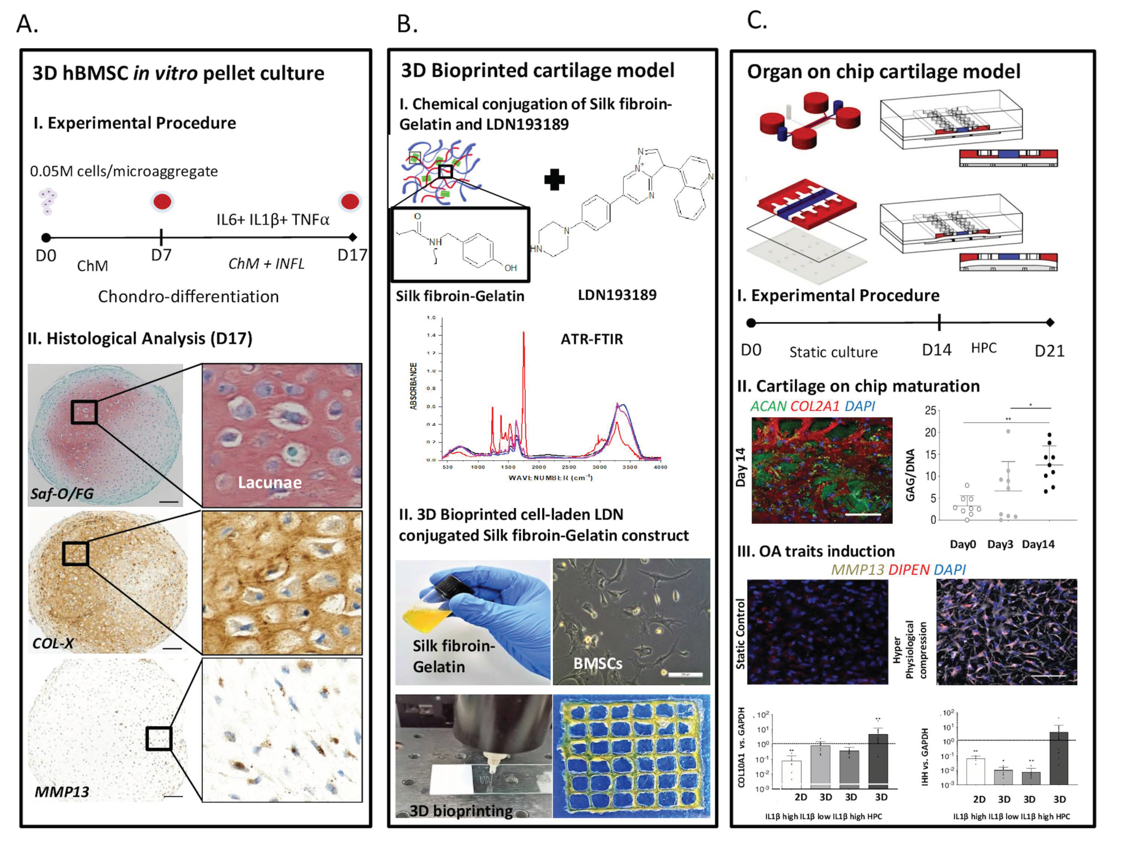 Cells 11 04034 g002 Cells 11 04034 g002