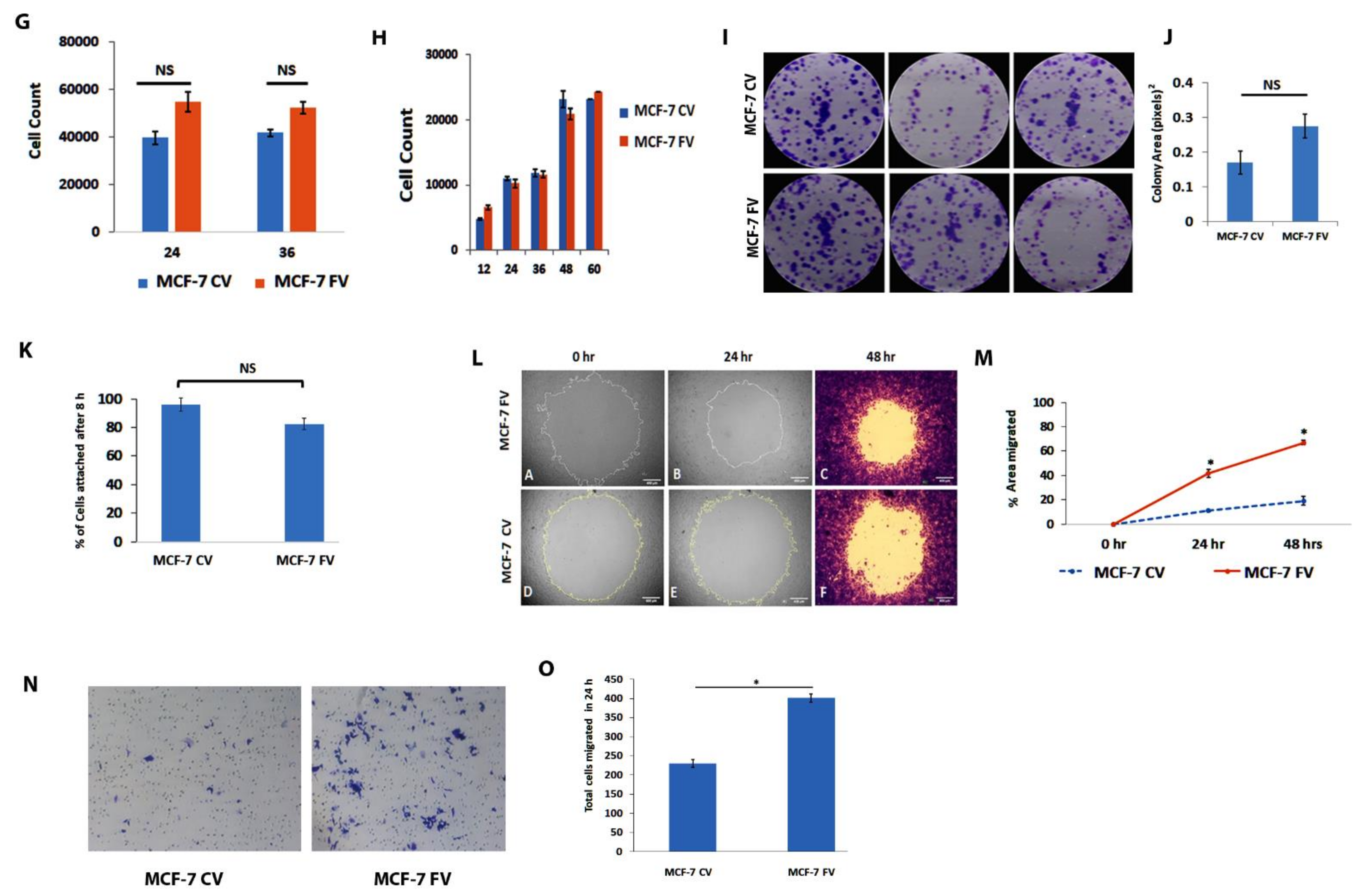 Cells 11 04035 g002b Cells 11 04035 g002b