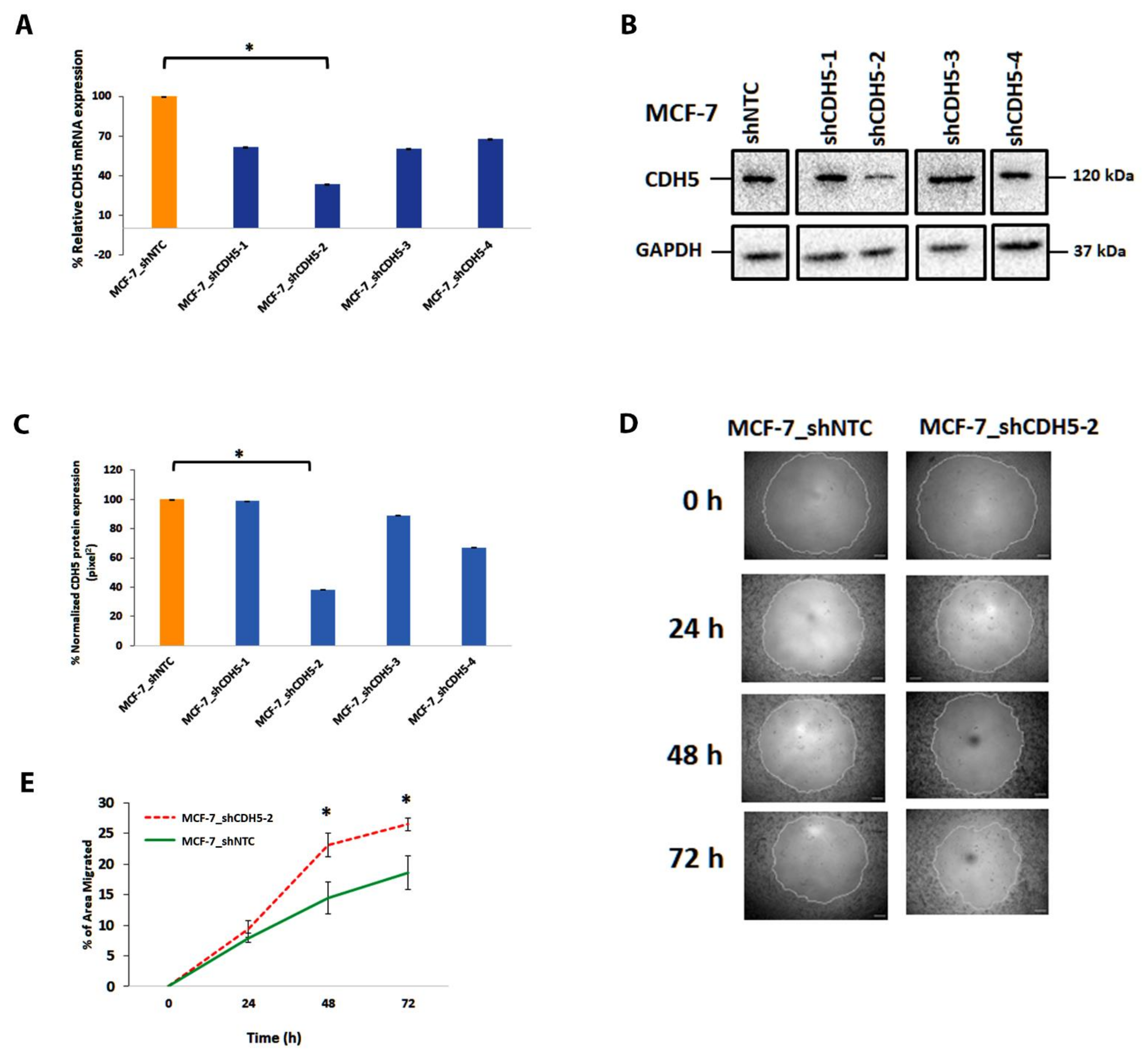 Cells 11 04035 g006 Cells 11 04035 g006