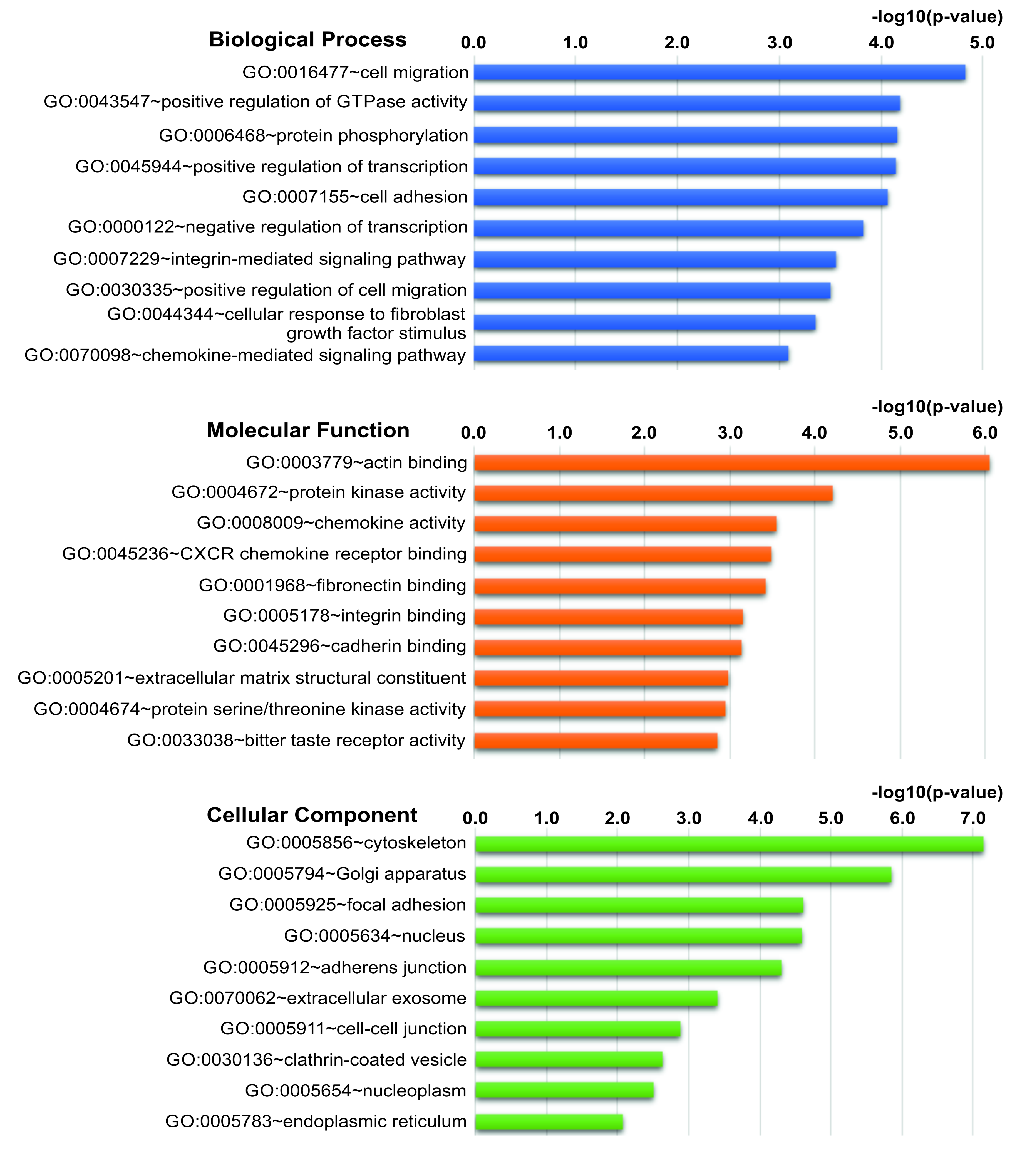 Cells 11 04040 g003 Cells 11 04040 g003