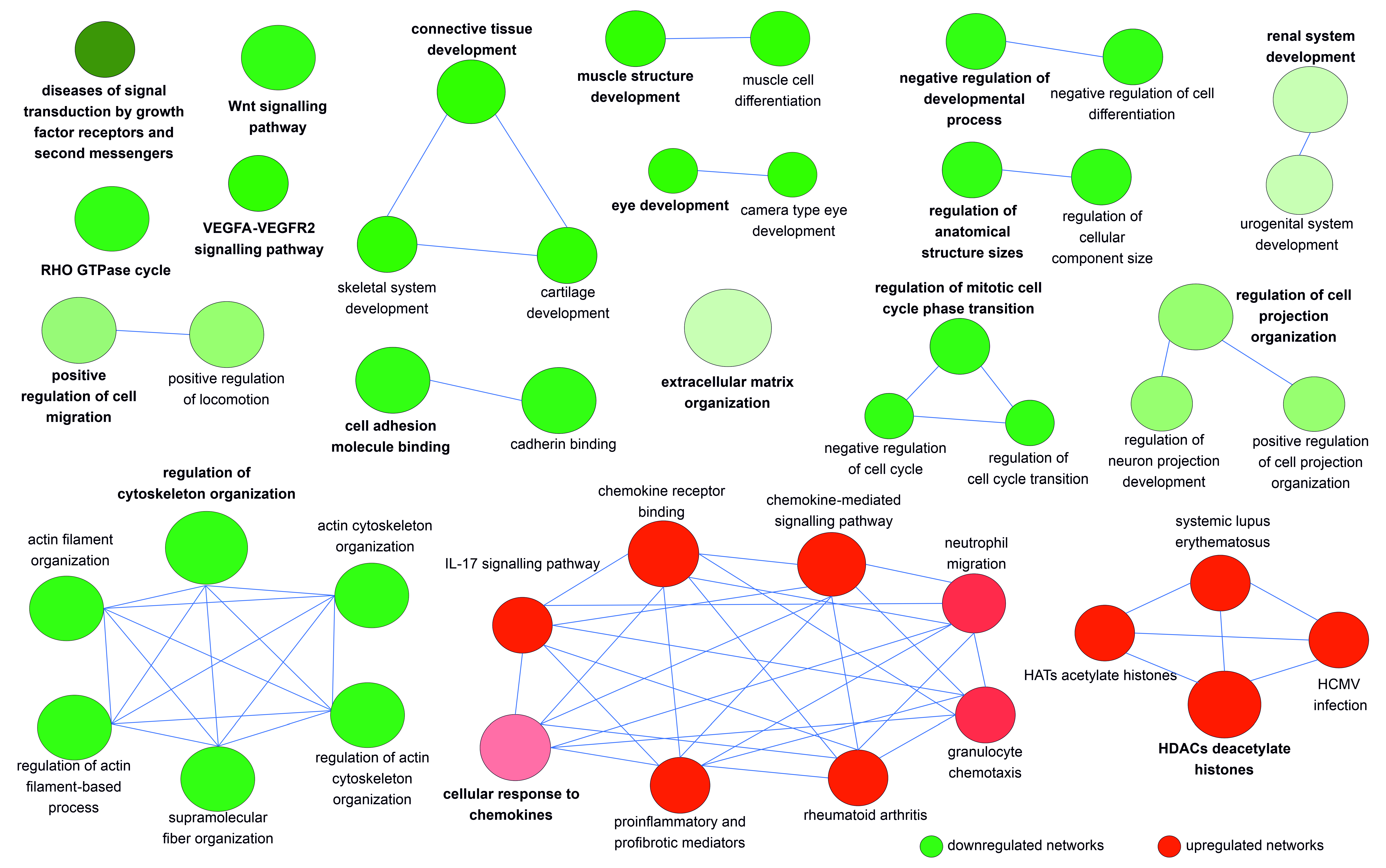 Cells 11 04040 g004 Cells 11 04040 g004