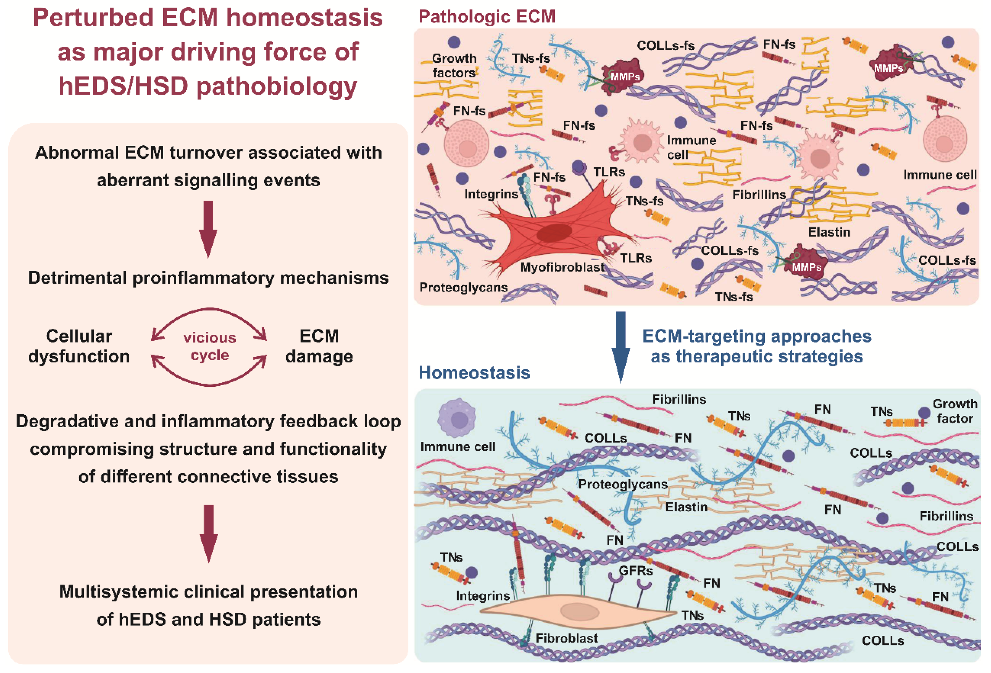 Cells 11 04040 g006 Cells 11 04040 g006