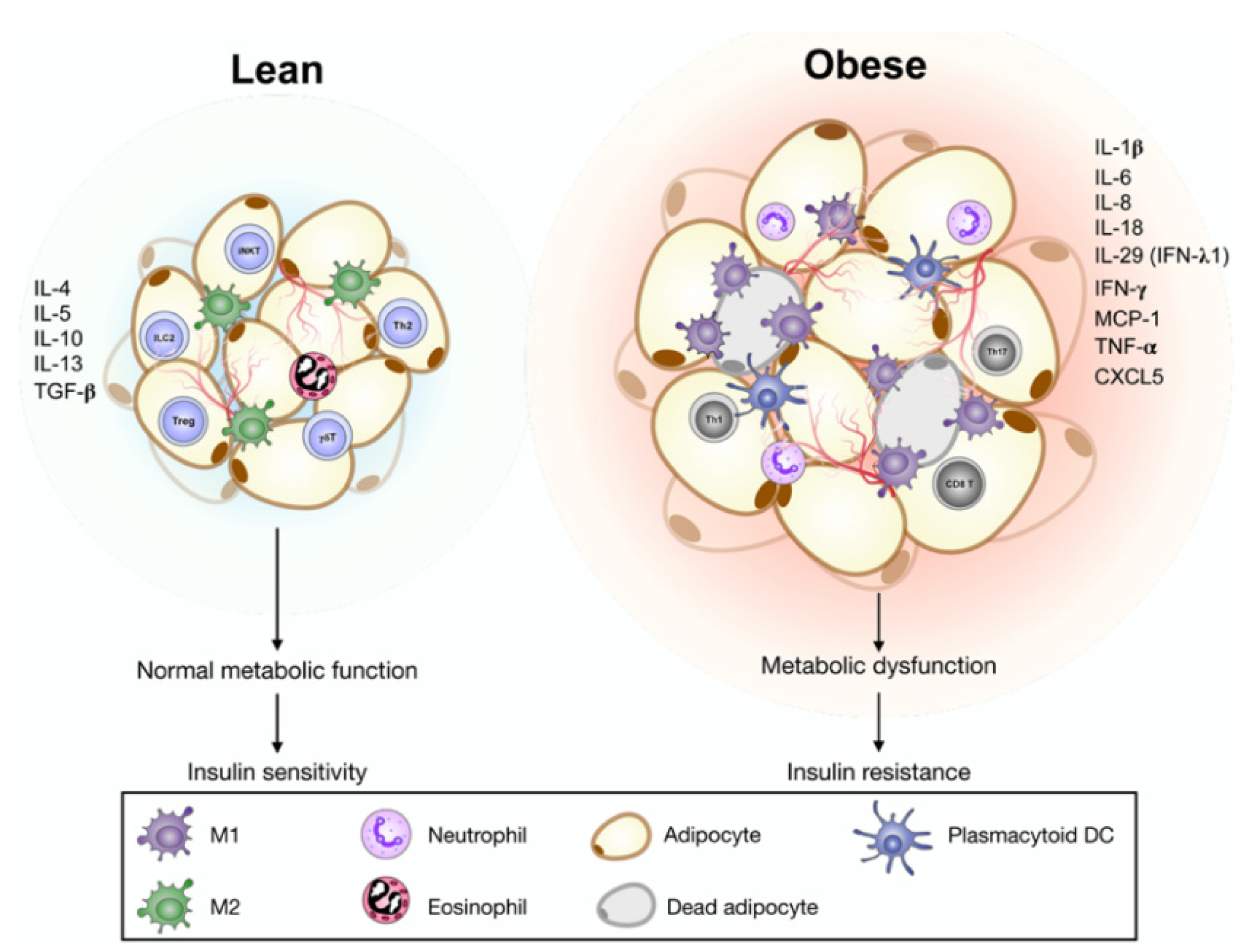Cells 11 04041 g001 Cells 11 04041 g001