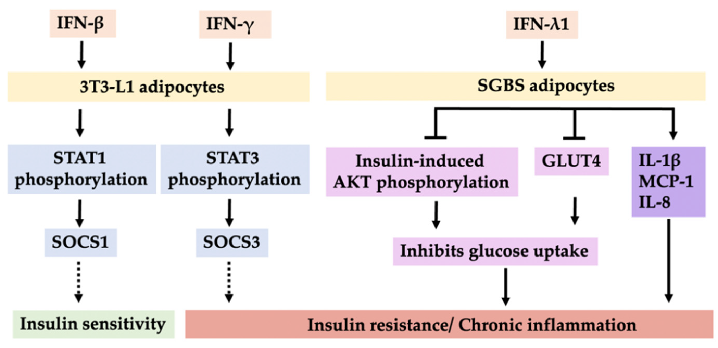 Cells 11 04041 g002 Cells 11 04041 g002